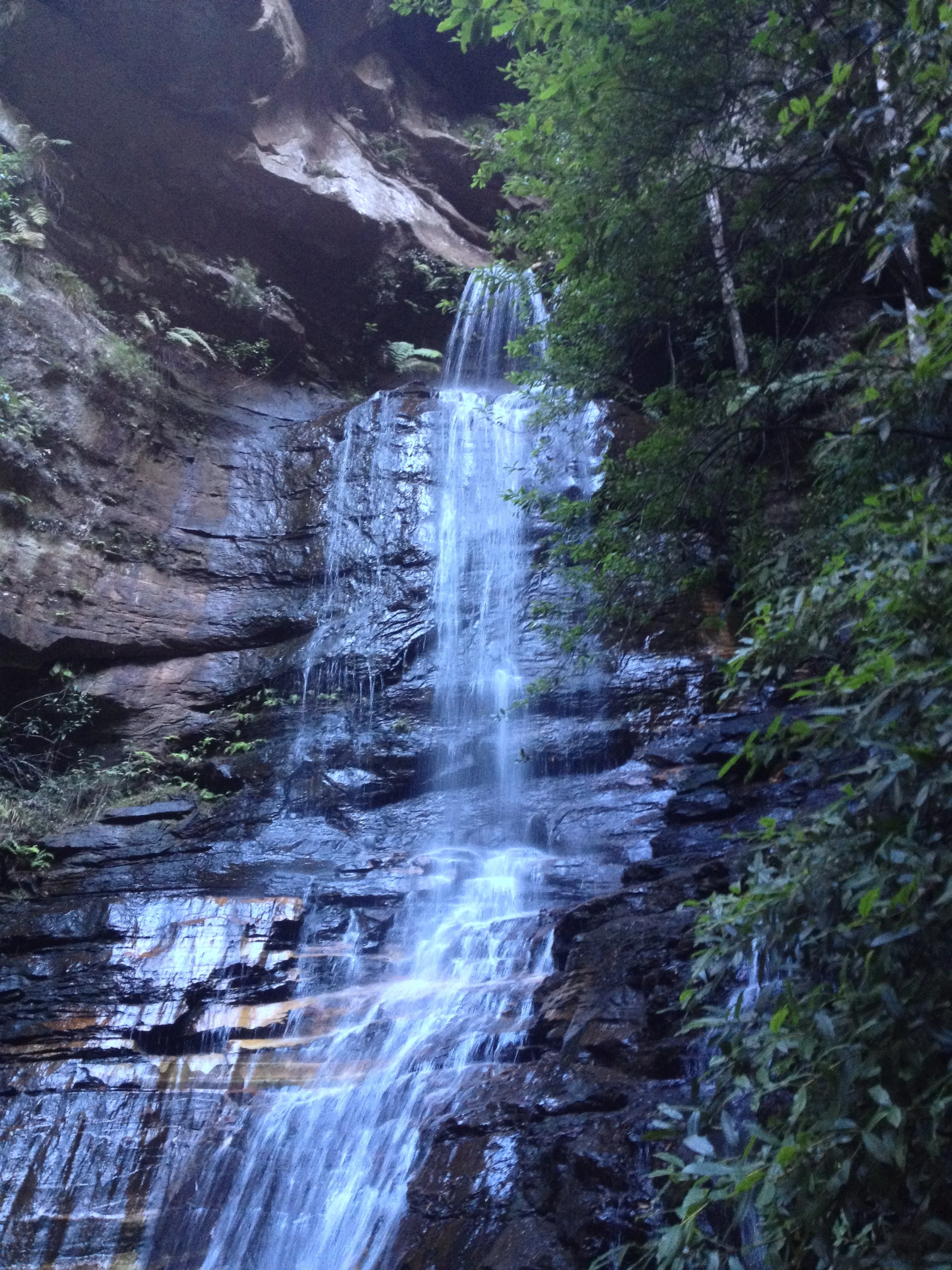 Waterfall cascading over layered rocks in a lush forest