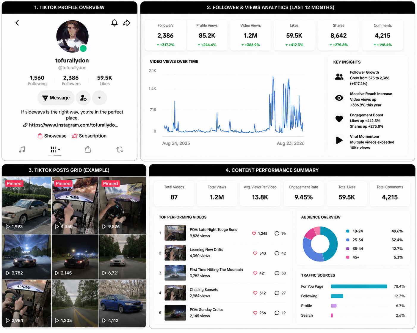 TikTok analytics dashboard displaying profile overview, follower and views analytics, posts grid with videos, and content performance summary, including top videos and audience overview.