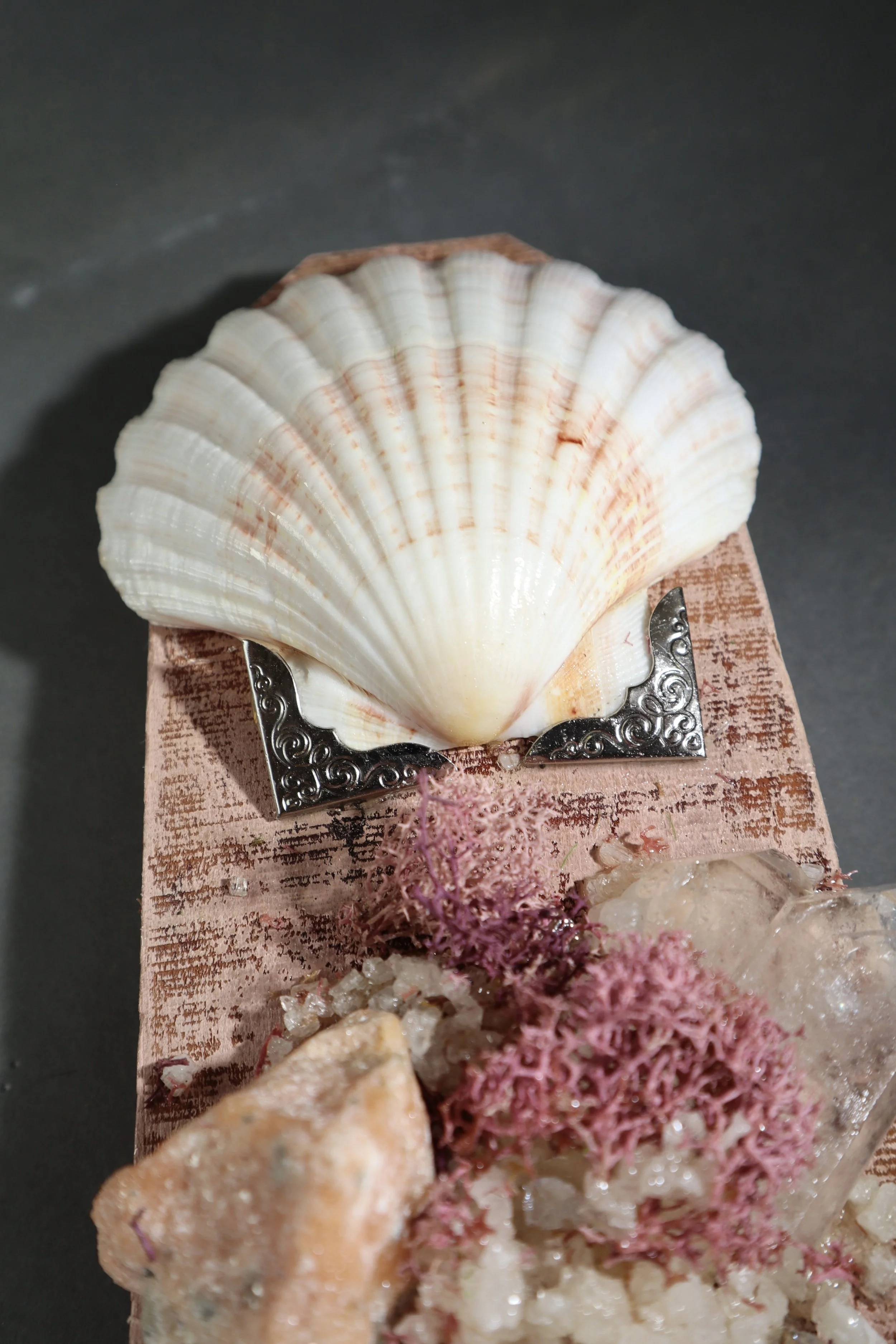 Pink gemstone wall art with seashell detail, natural quartz and layered blush mineral textures
