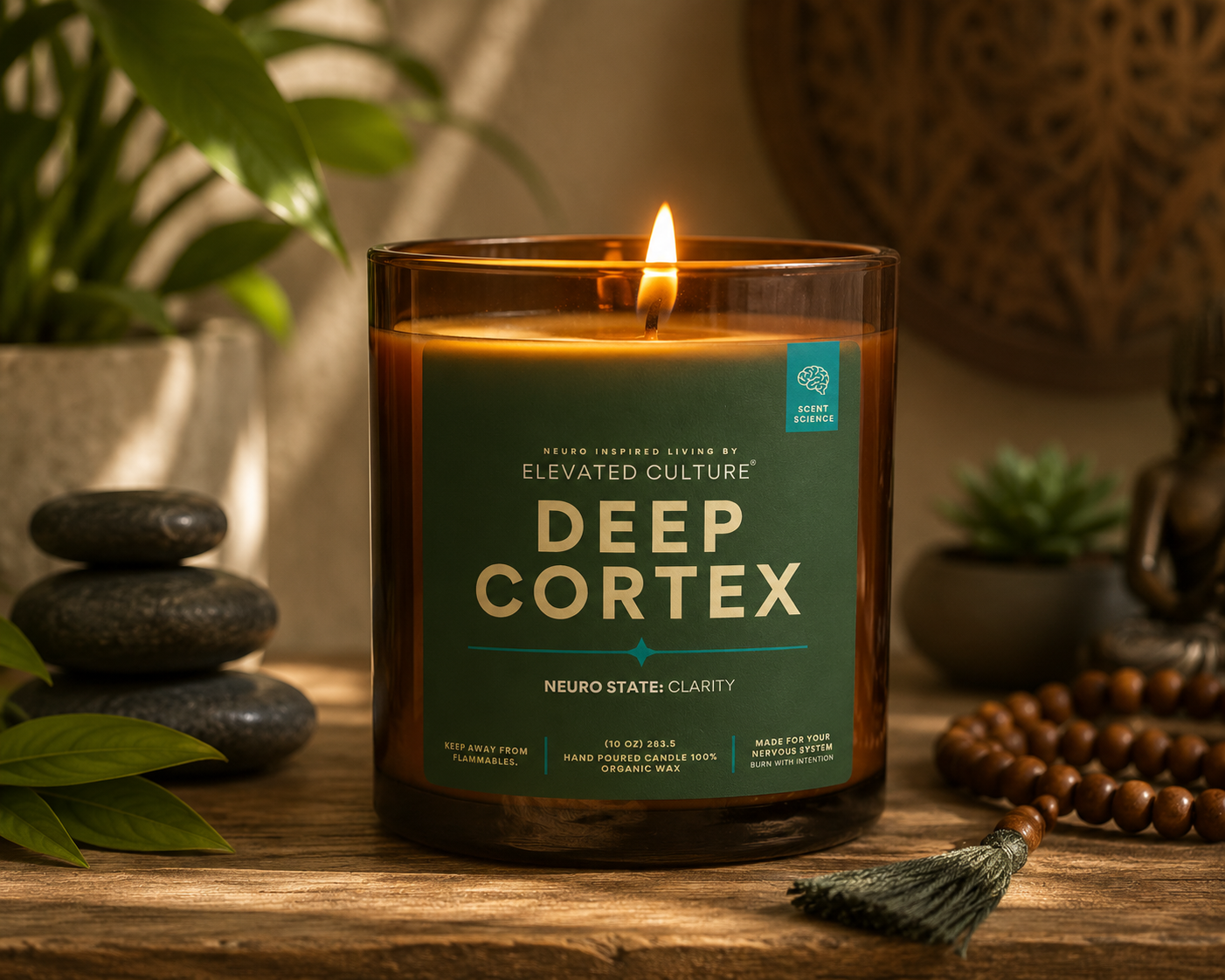 Deep Cortex.png