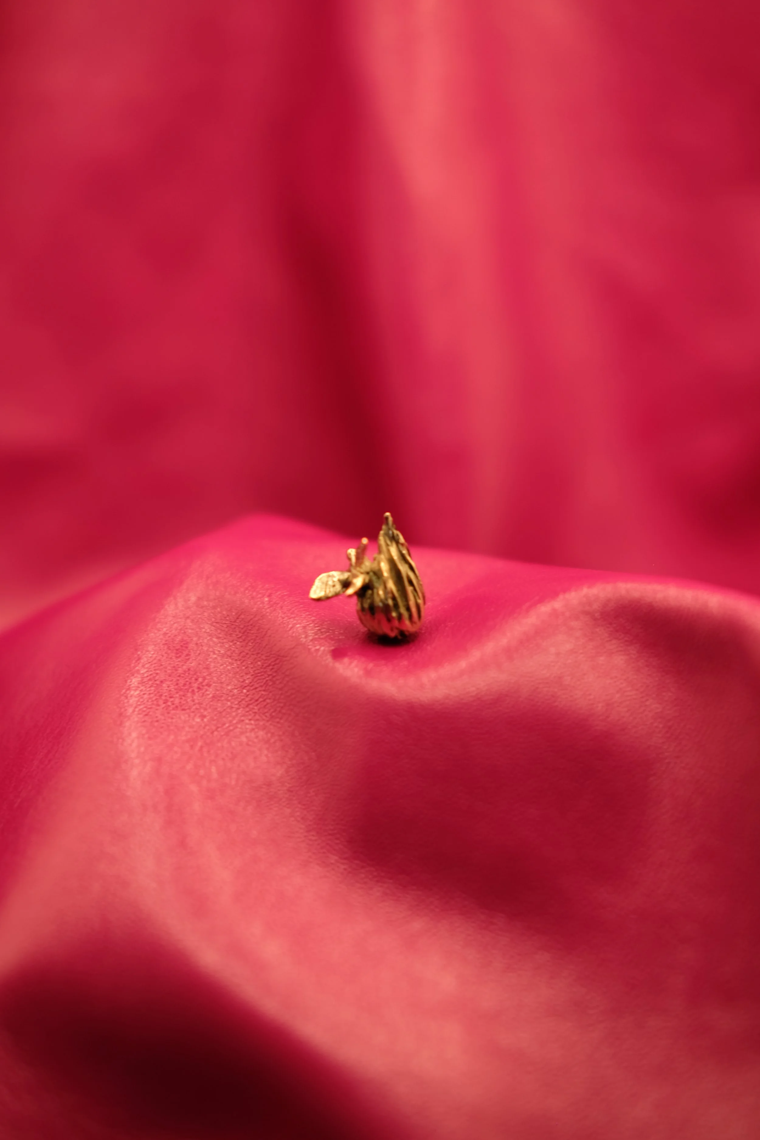 DSCF1858.JPG