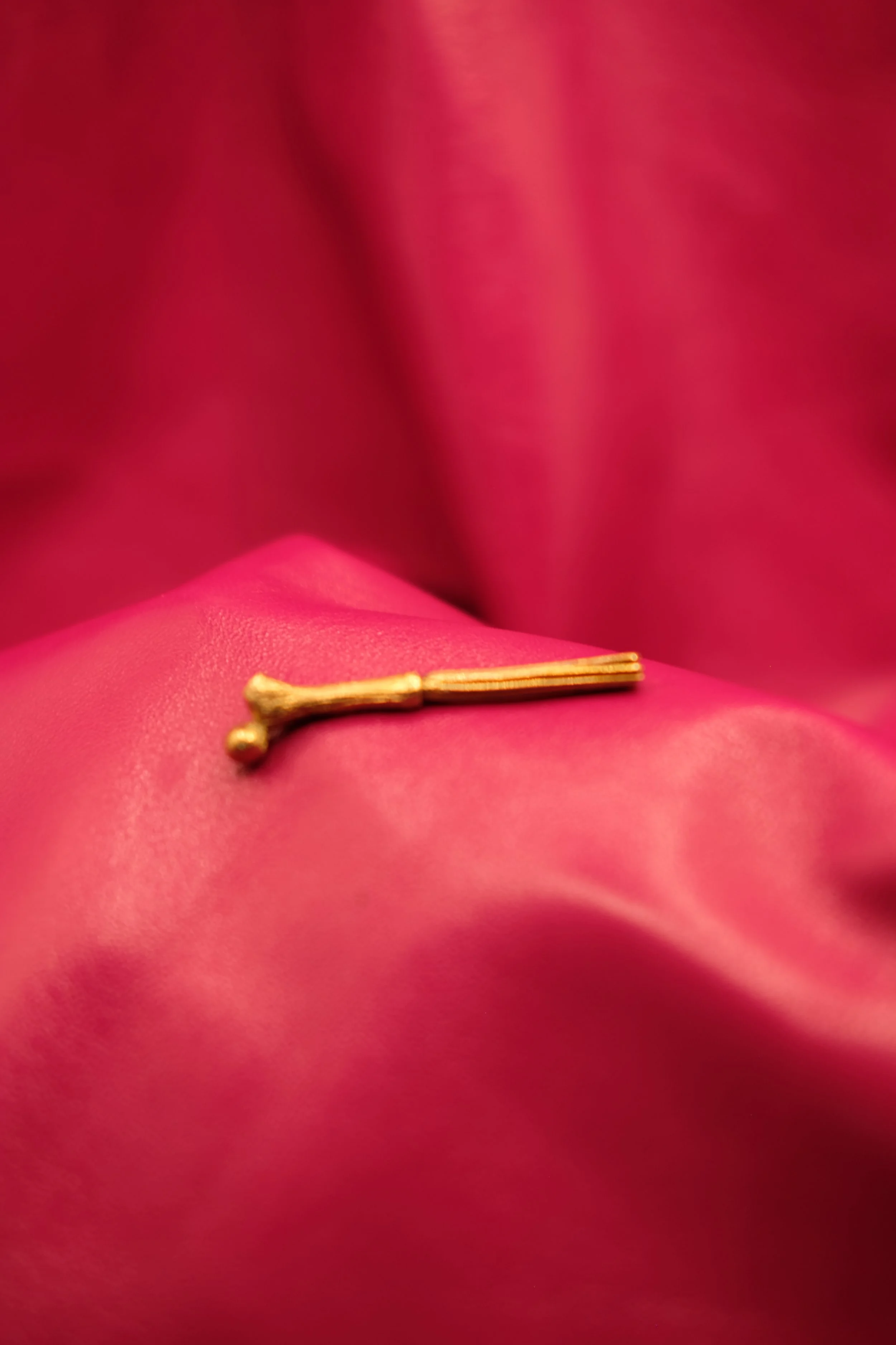 DSCF1891.JPG