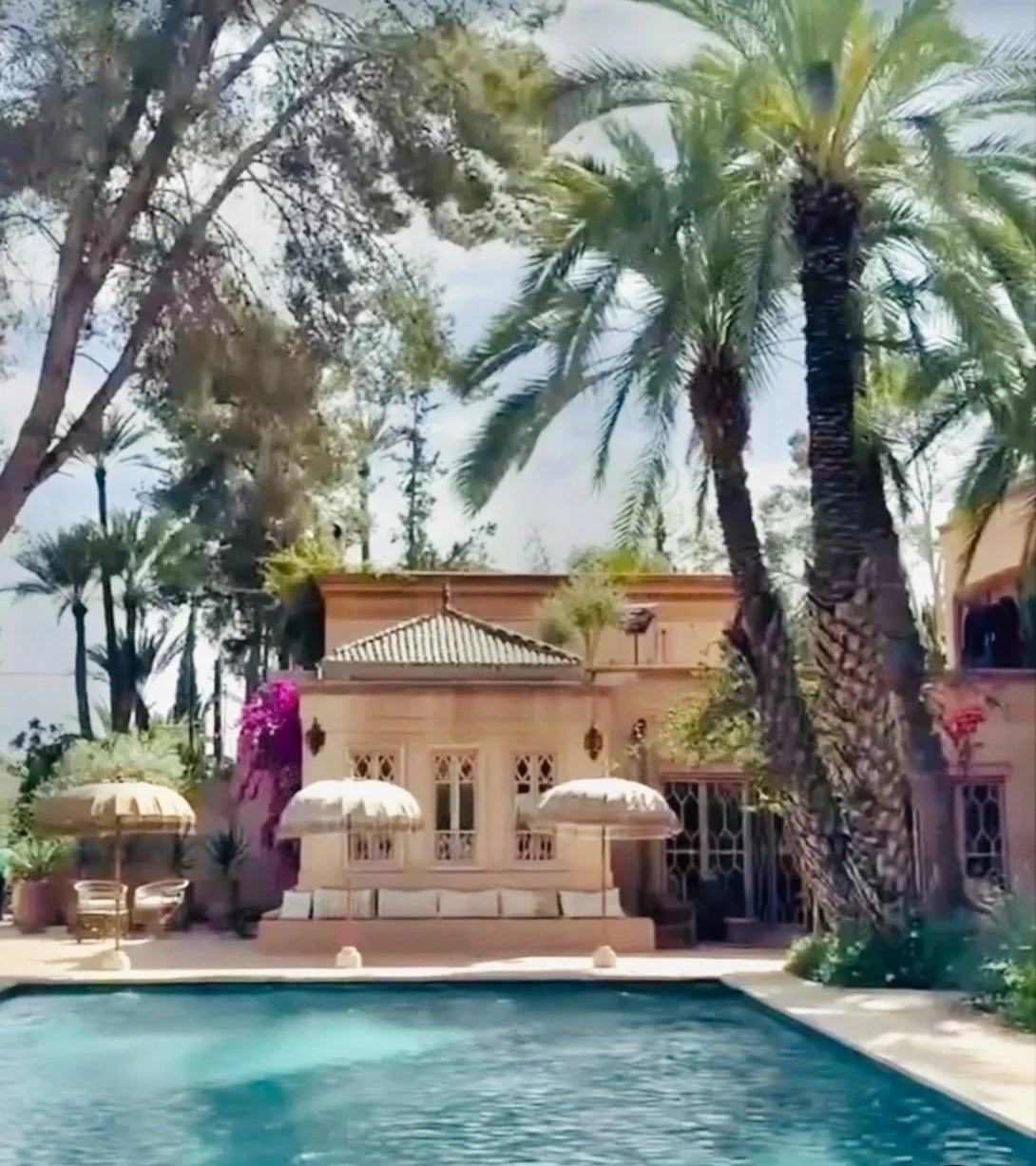 Luxury boutique accommodations, pool framed by palm trees and lush gardens; Stay.