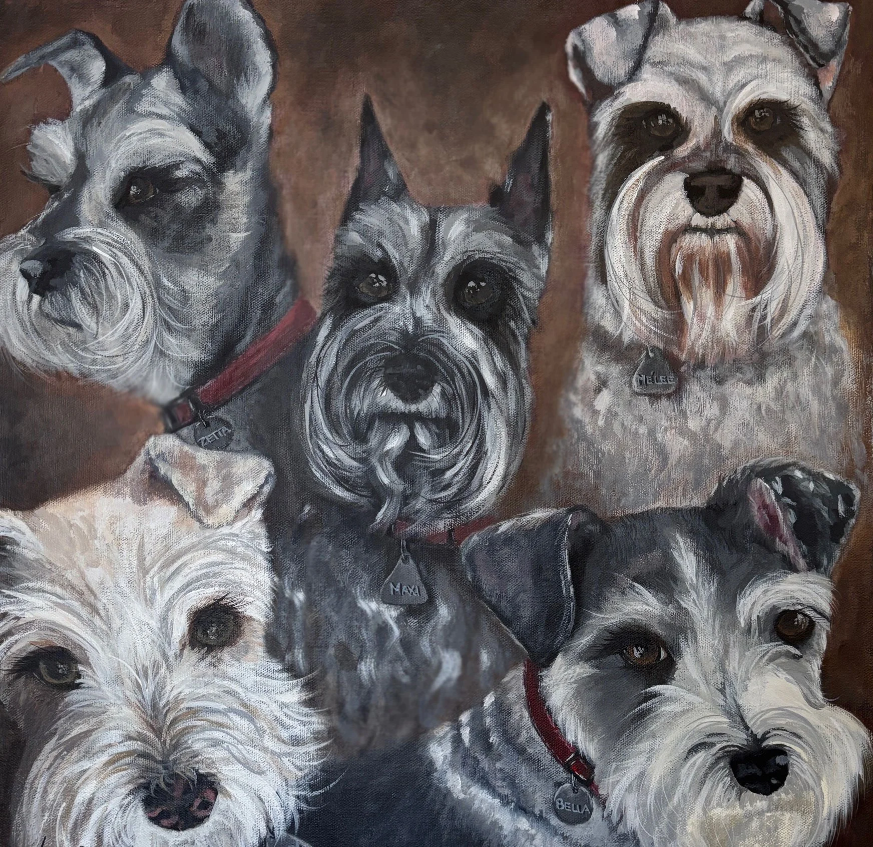 Schnauzers
