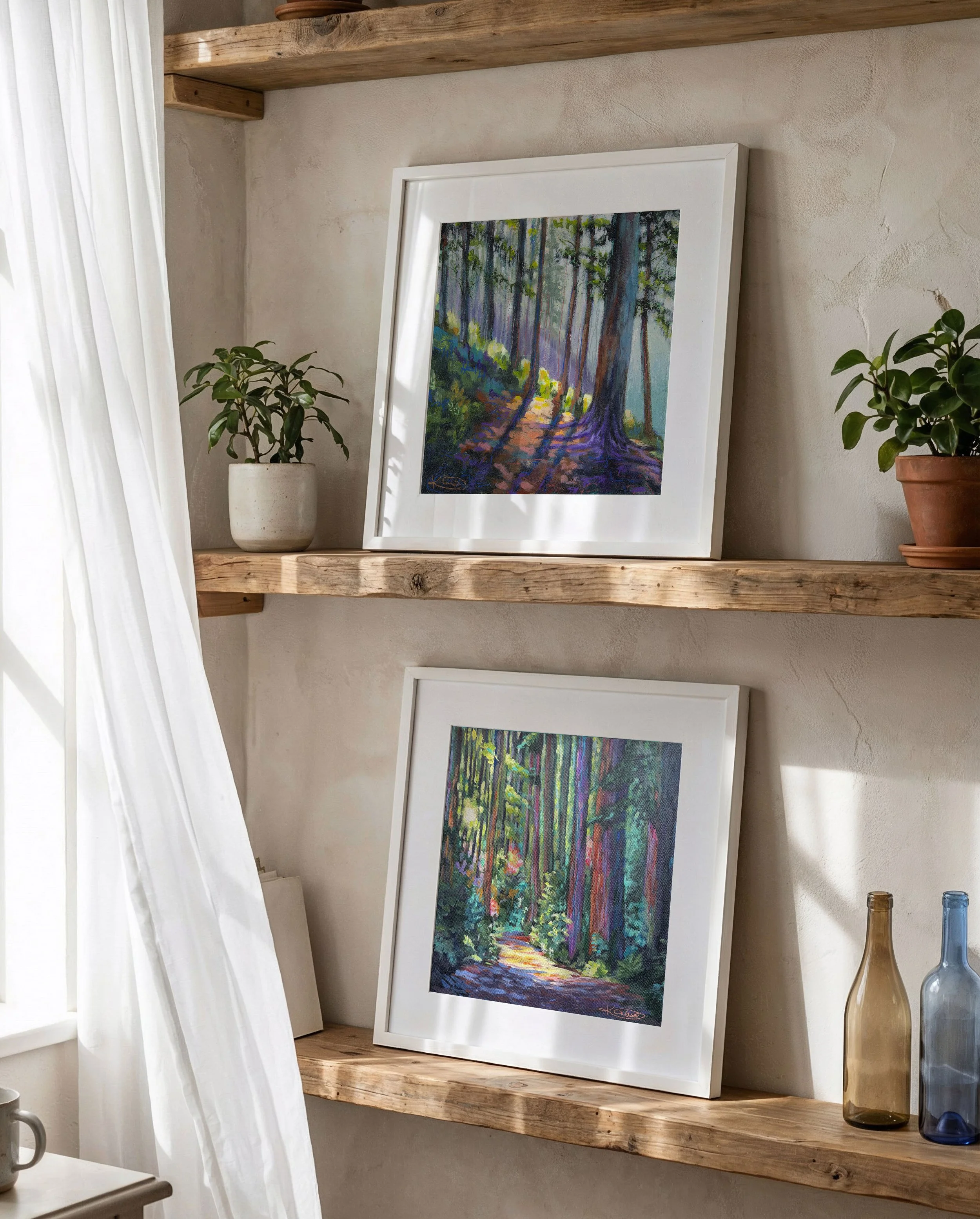 12x12_mystic_redwoods.jpg