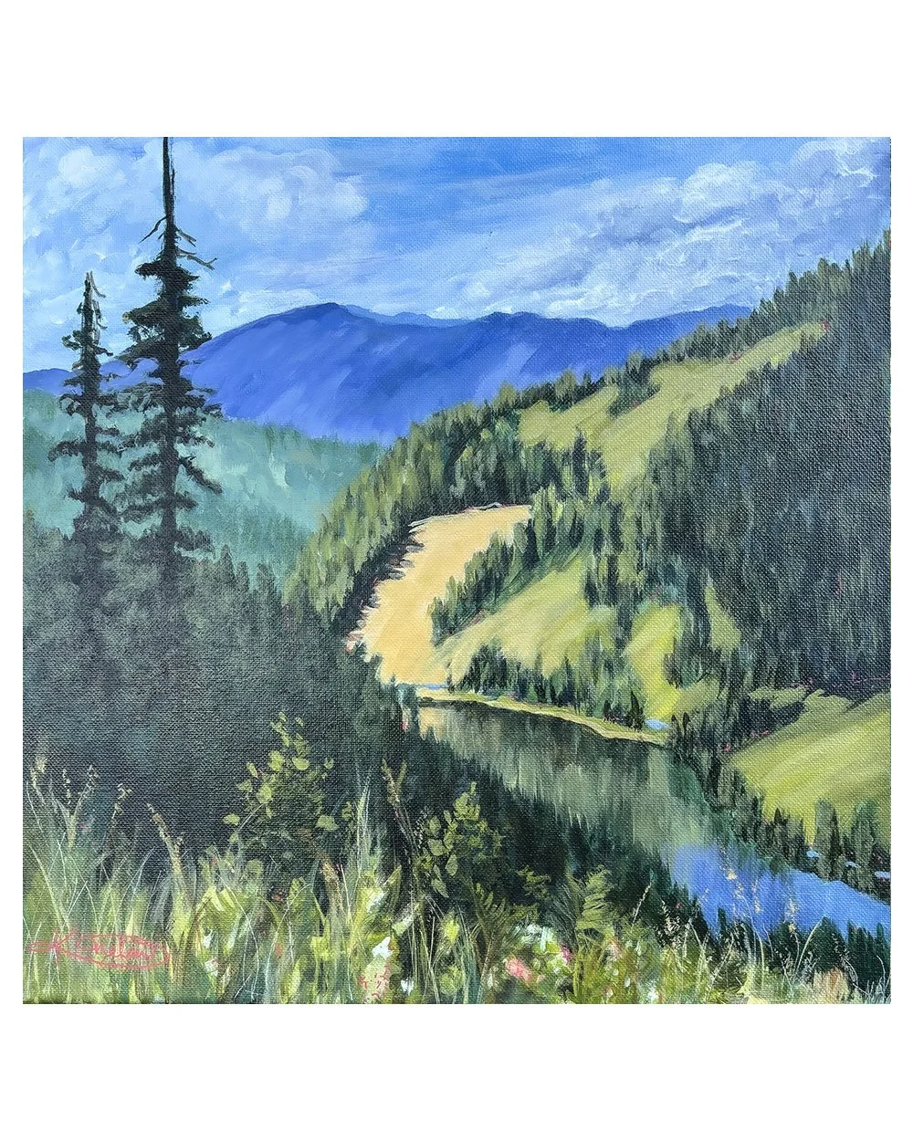 Swiftwater-Rd.jpg