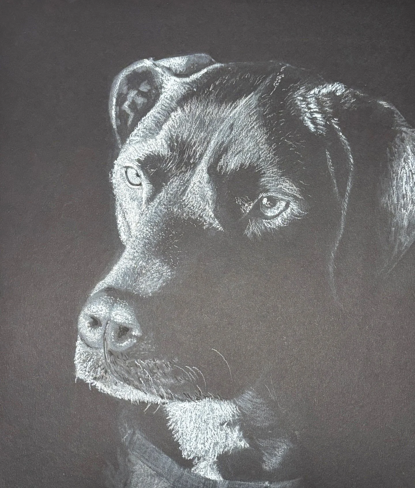Solo - Chalk & China Marker on Black Paper
