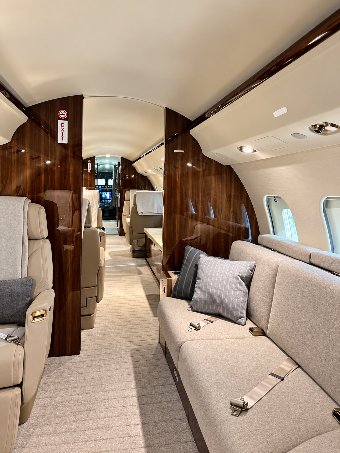 Private Jet Cabin Interior Detail