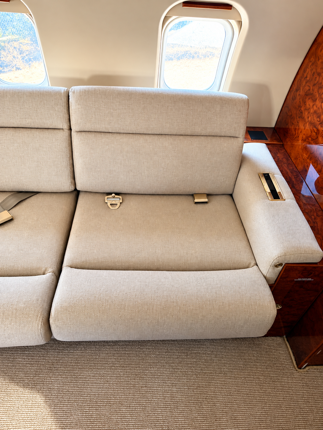 challenger 604 level 3 interior sofa interior deep clean carlsbad CA