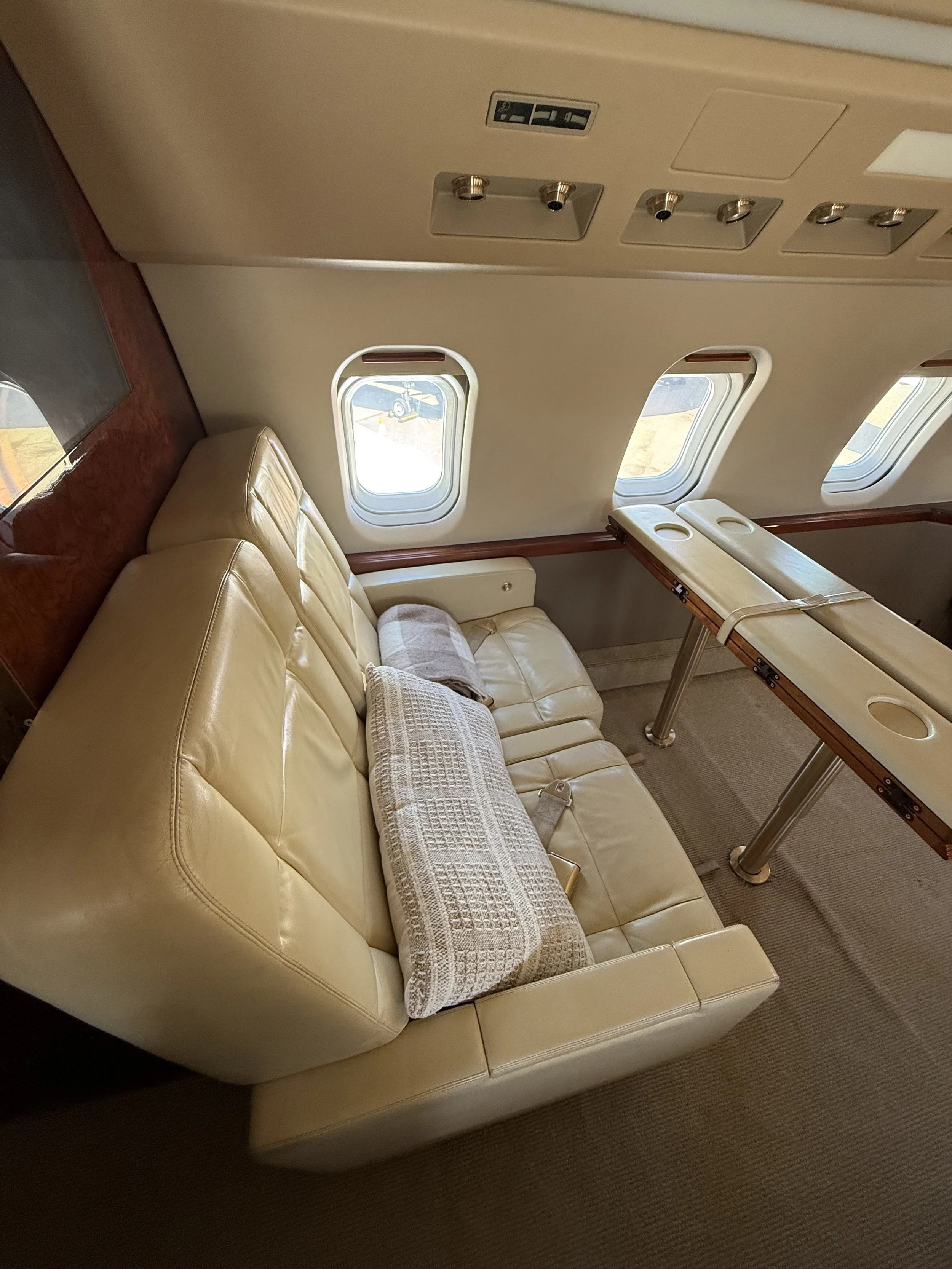 Aircraft Interior leather seat cleaning & Leather Treatment Carlsbad CA