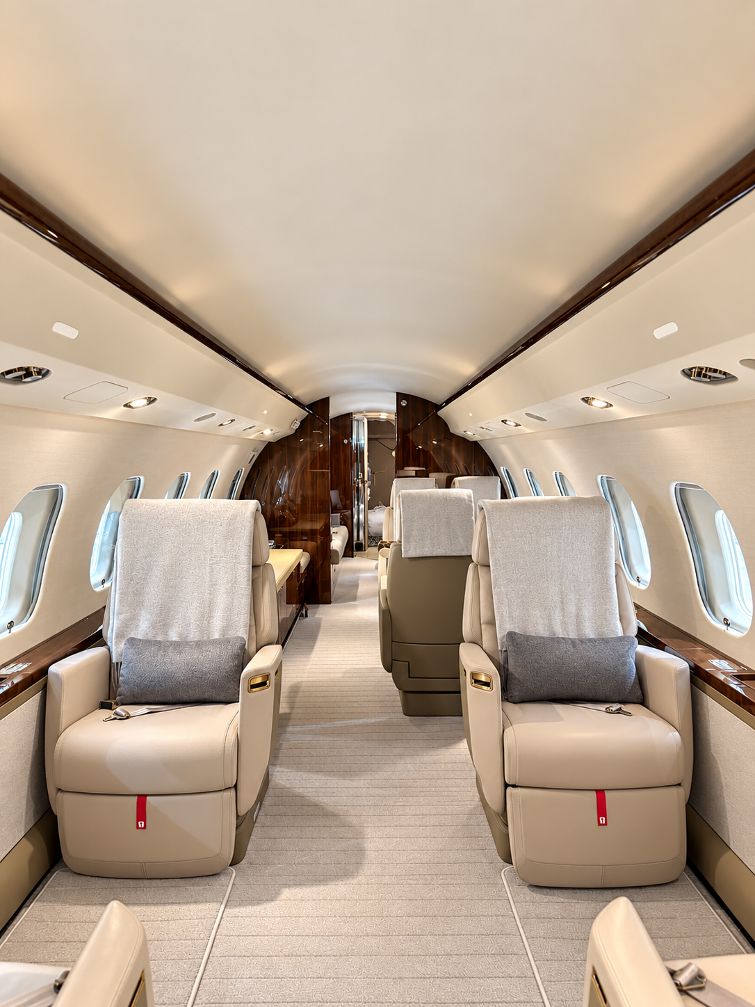 Large Cabin Jet Leather Treatment Interior Detail