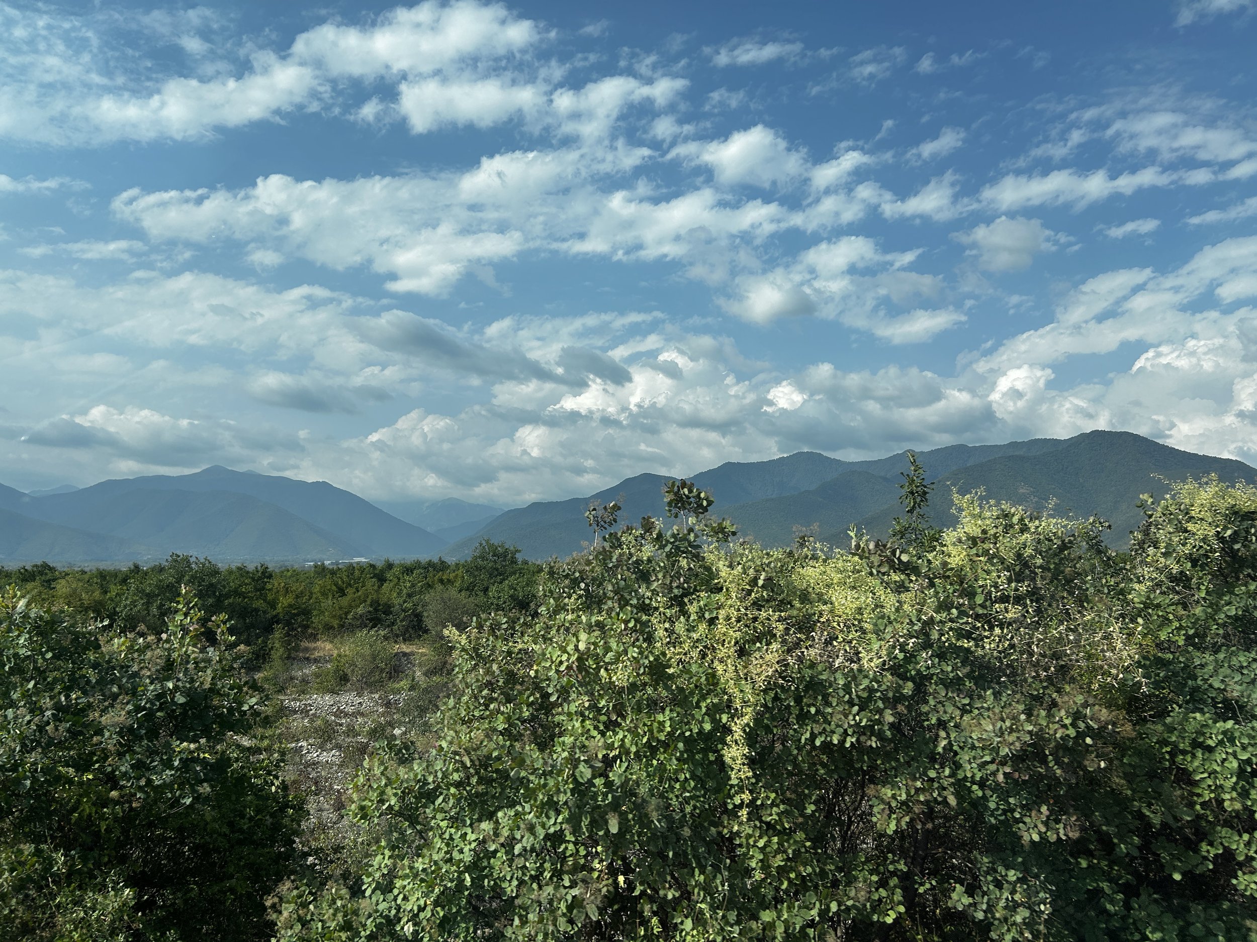 A landscape featuring green bushes in the foreground, mountains in the background, and a bright blue sky with scattered white clouds.