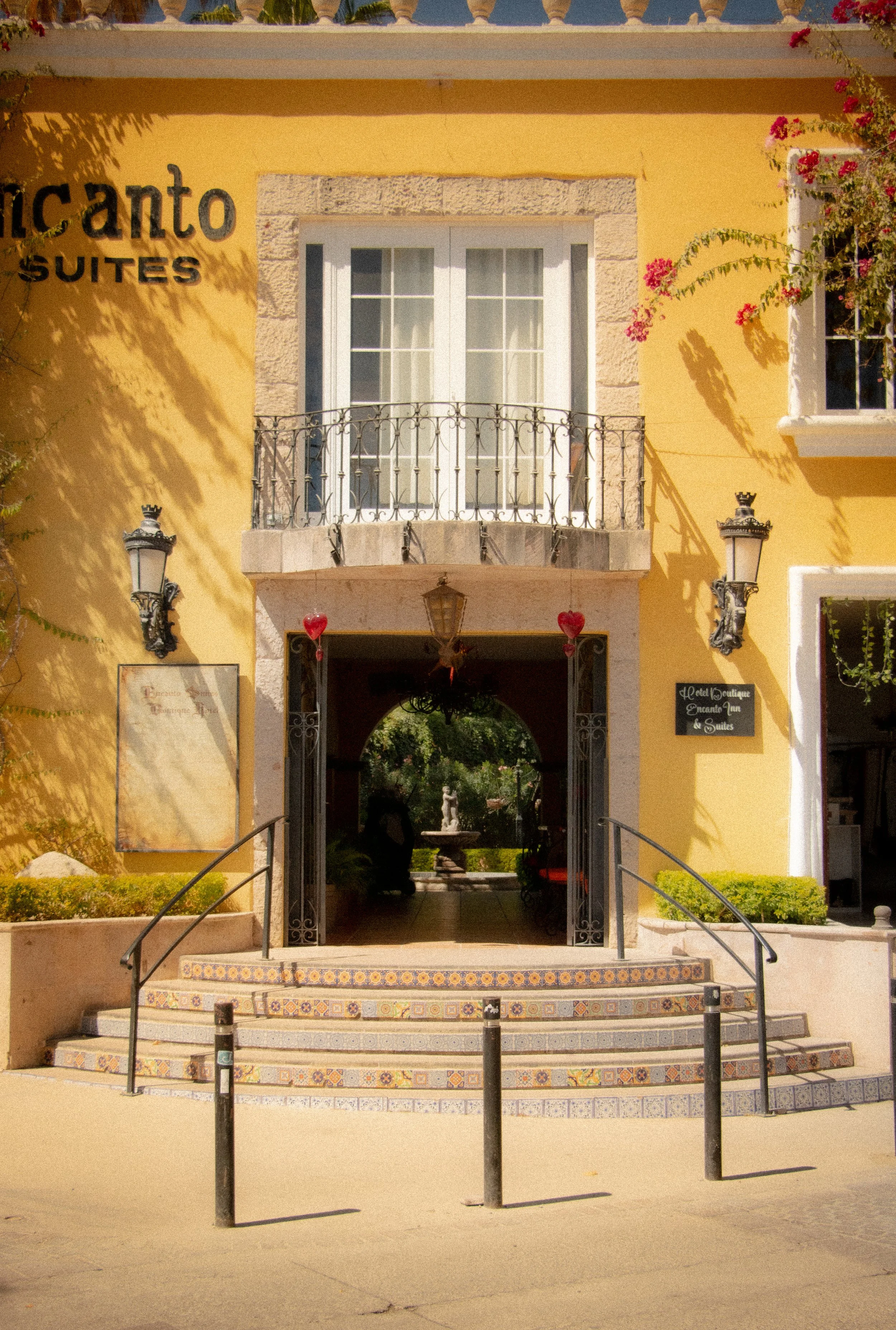 IMG_8646.jpg