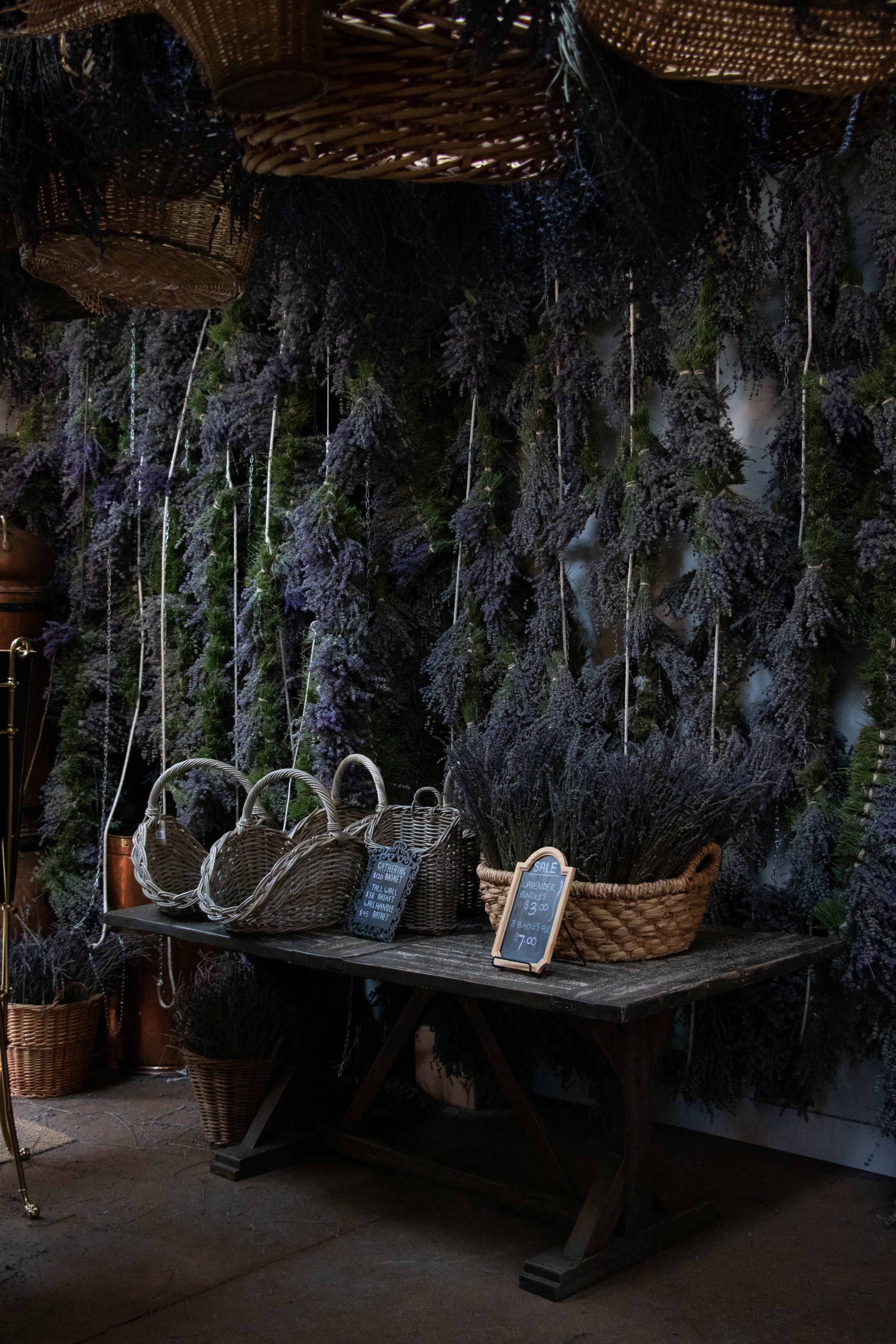 The Lavender Farm