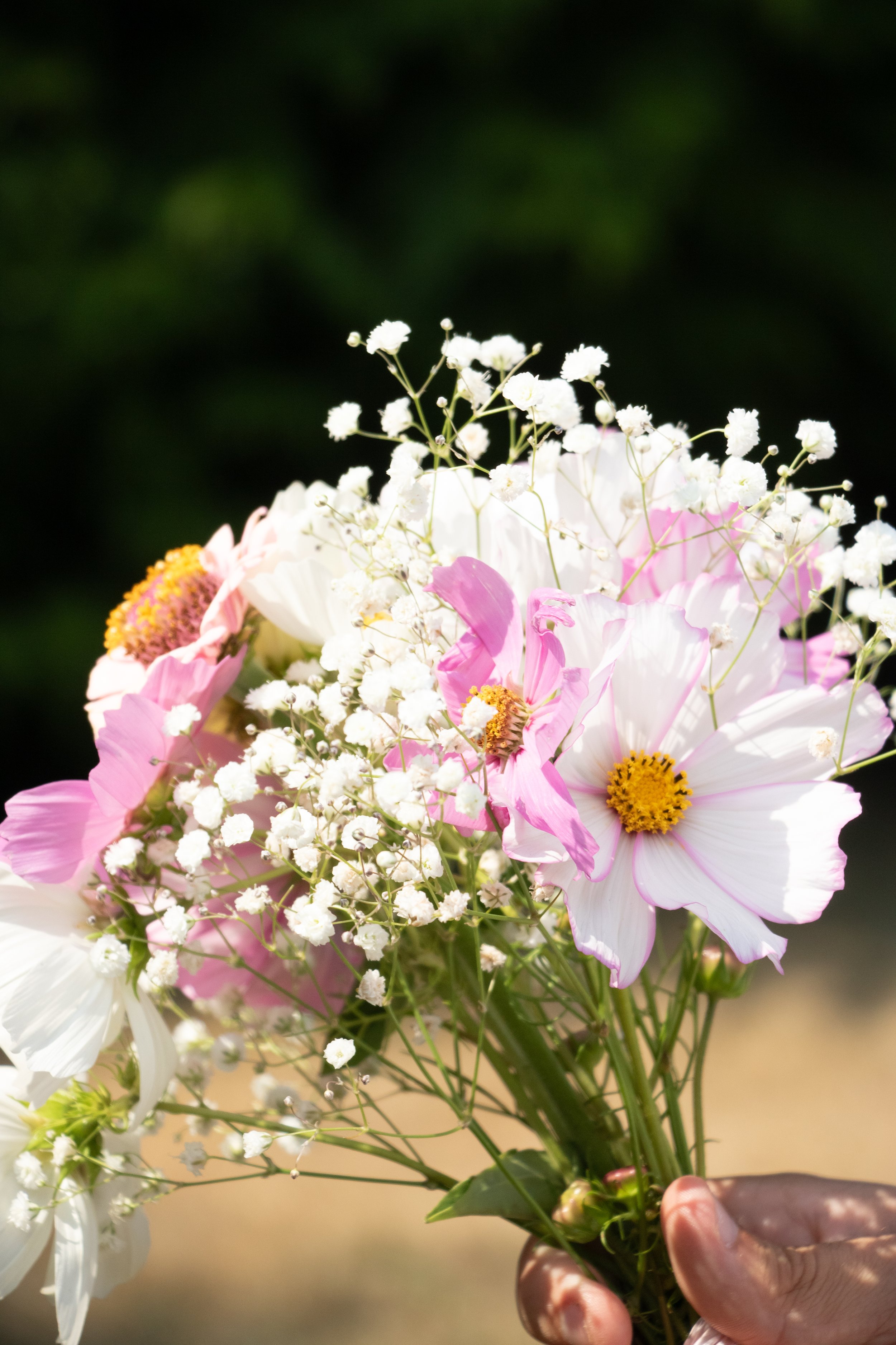 amberly+samuel-64.jpg