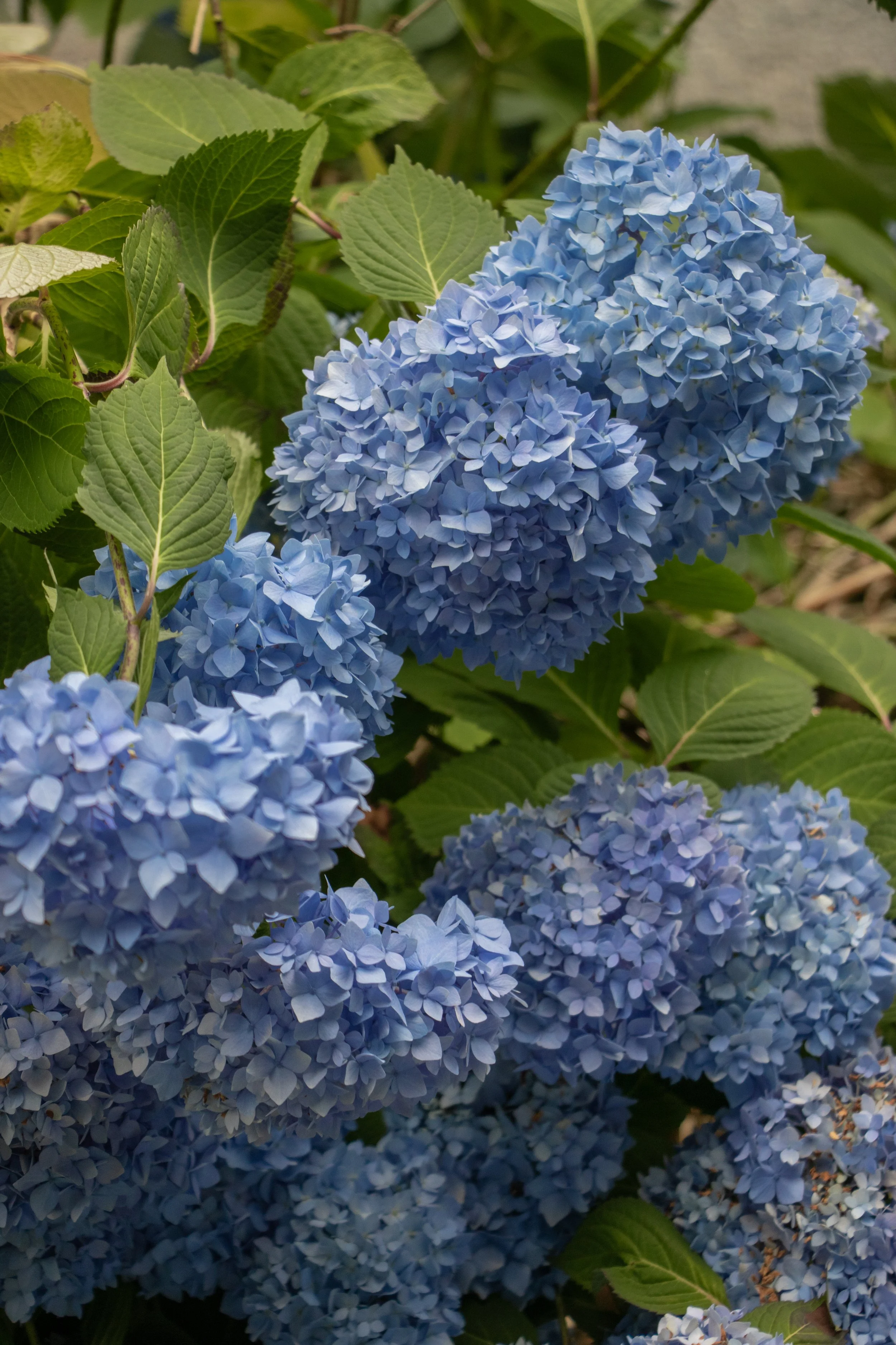 01-07-2026-5.jpg