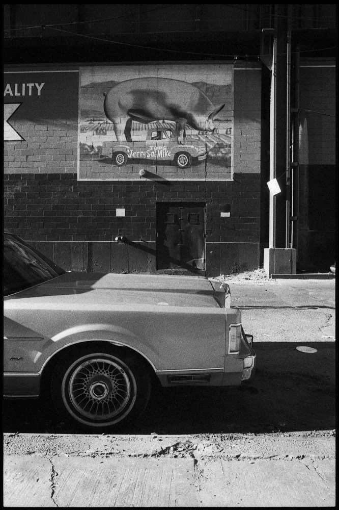 Giant-Pig©Jo-Voets_site.jpg