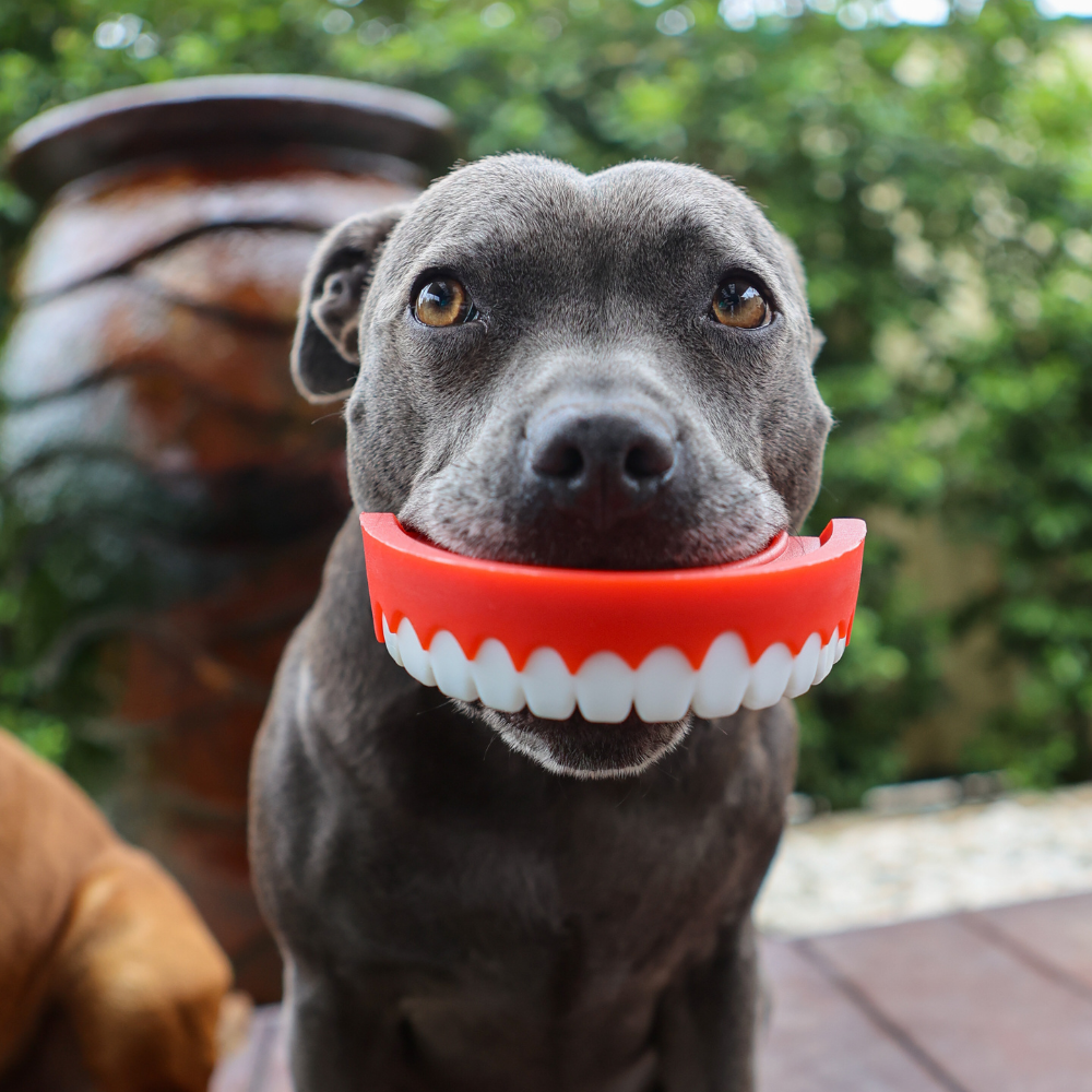 Chatter Chompers 79.png