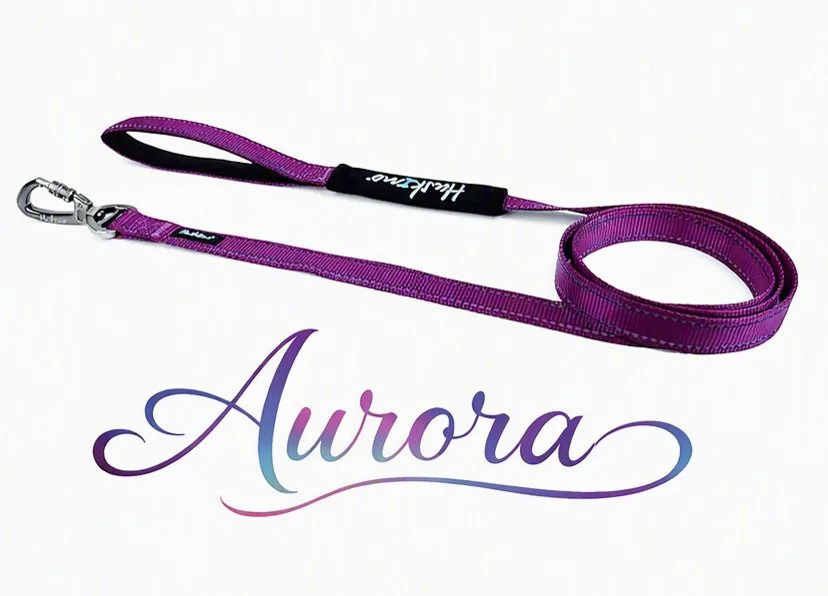 Aurora lead.jpg