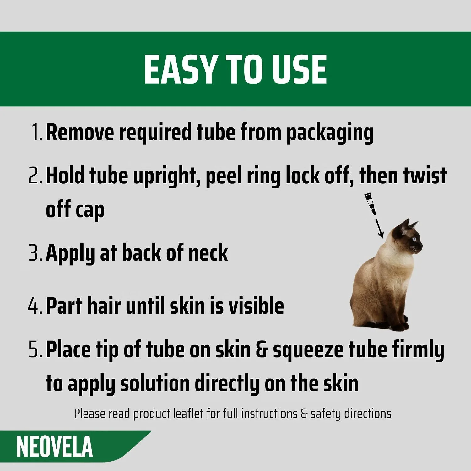 cat info.jpg