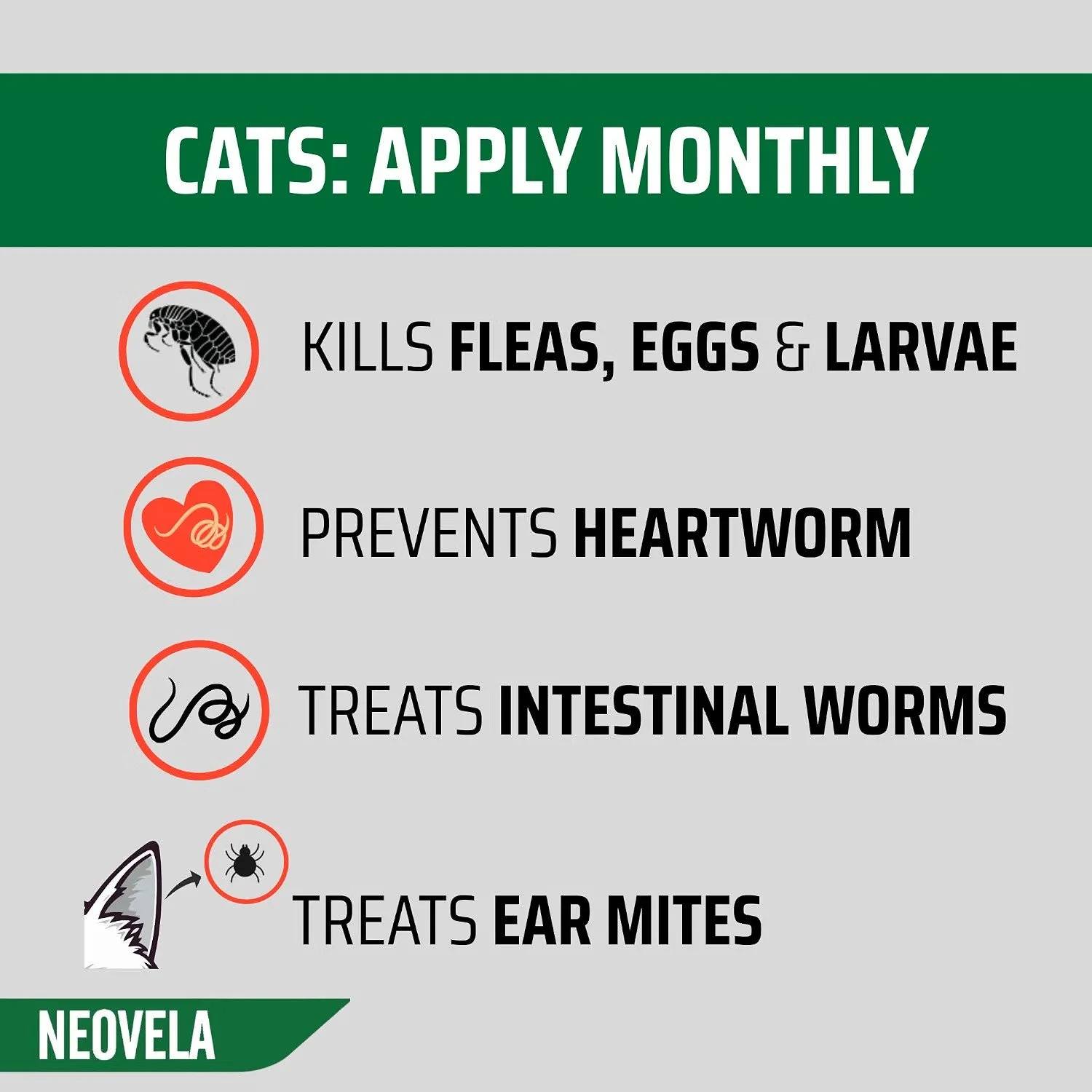 cat info2.jpg