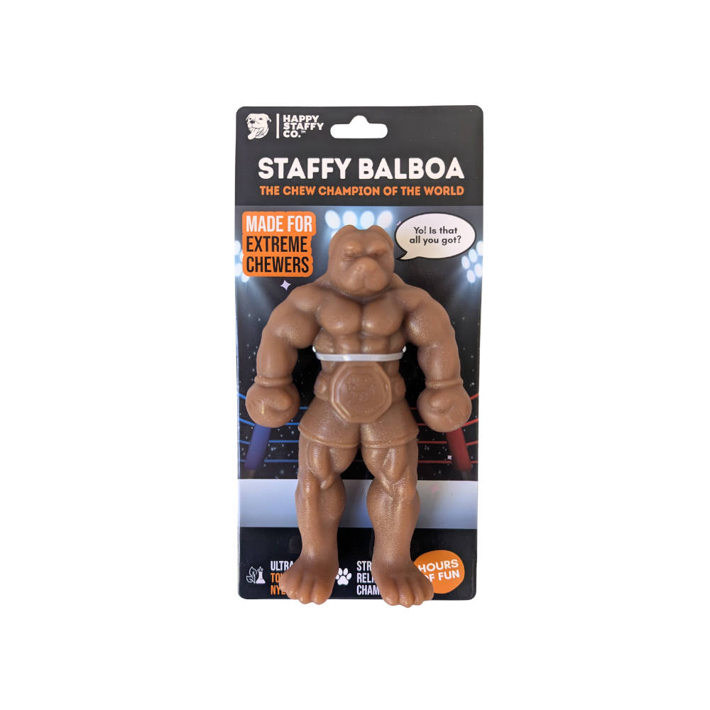 Staffy Balboa 100.png