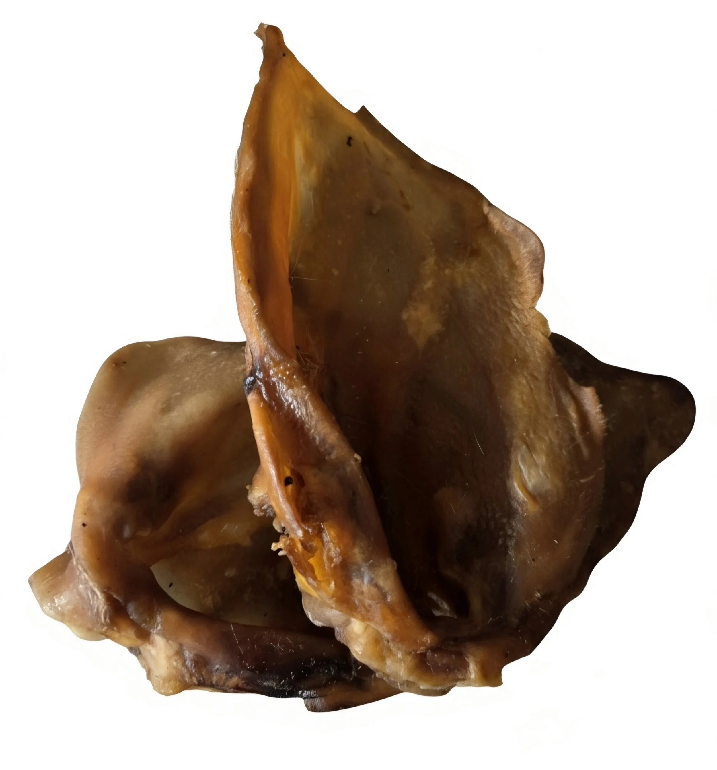 Premium Australian Pig Ears with Lobe Dog Chews
