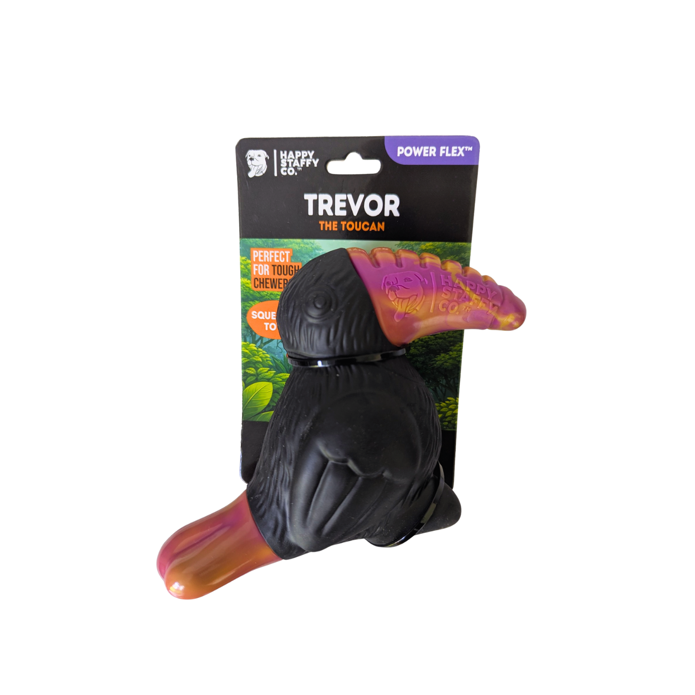 Trevor the Toucan