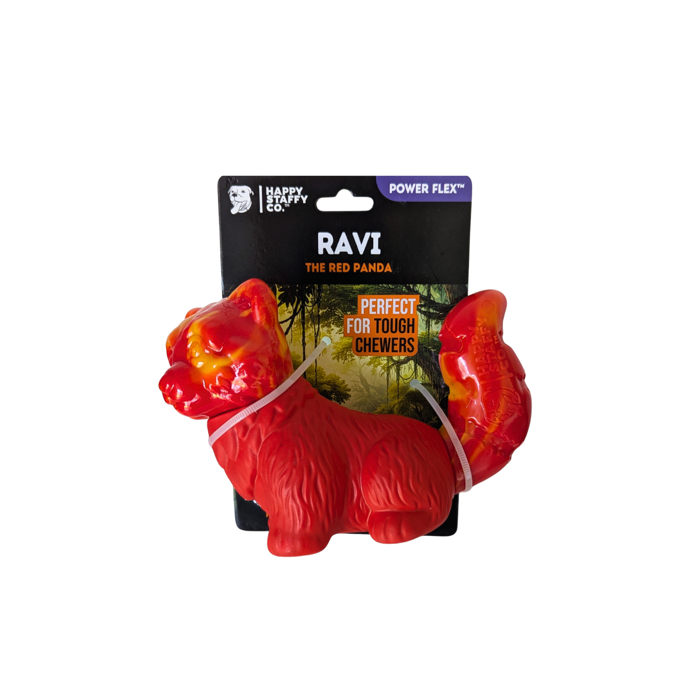 Ravi the Red Panda