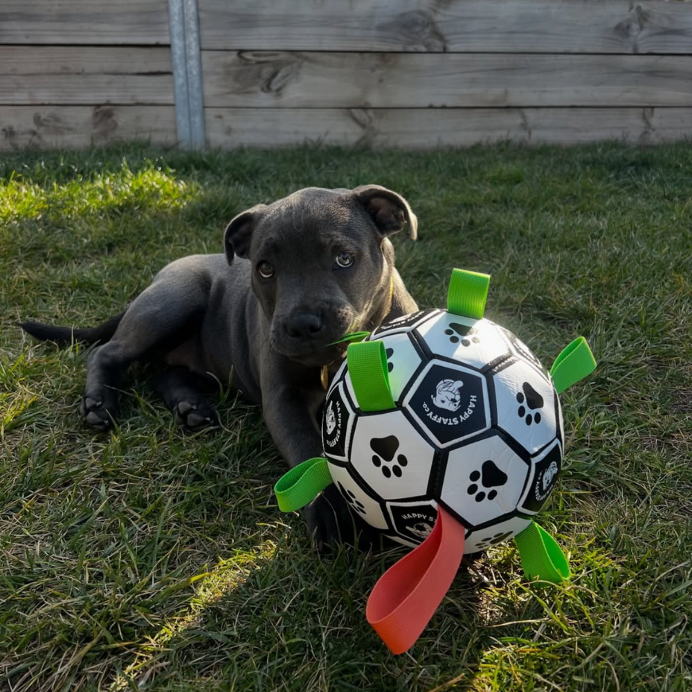 Ronaldog 52.png