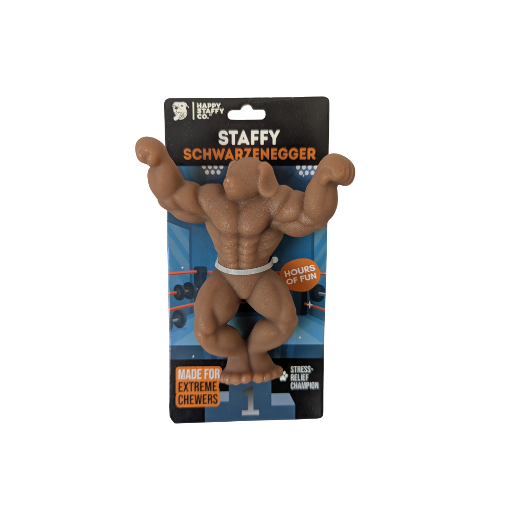 Staffy Schwarzenegger 109.png