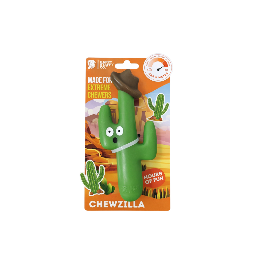 Cactus Cowboy 48.png