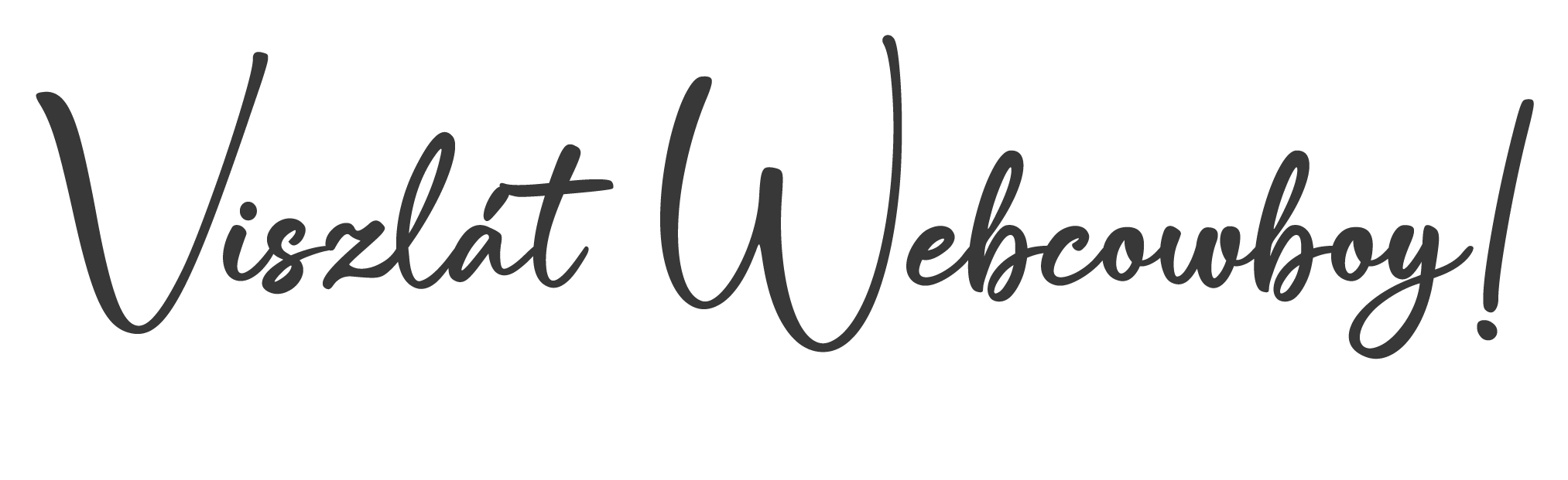 Viszlát Webcowboy felirat.