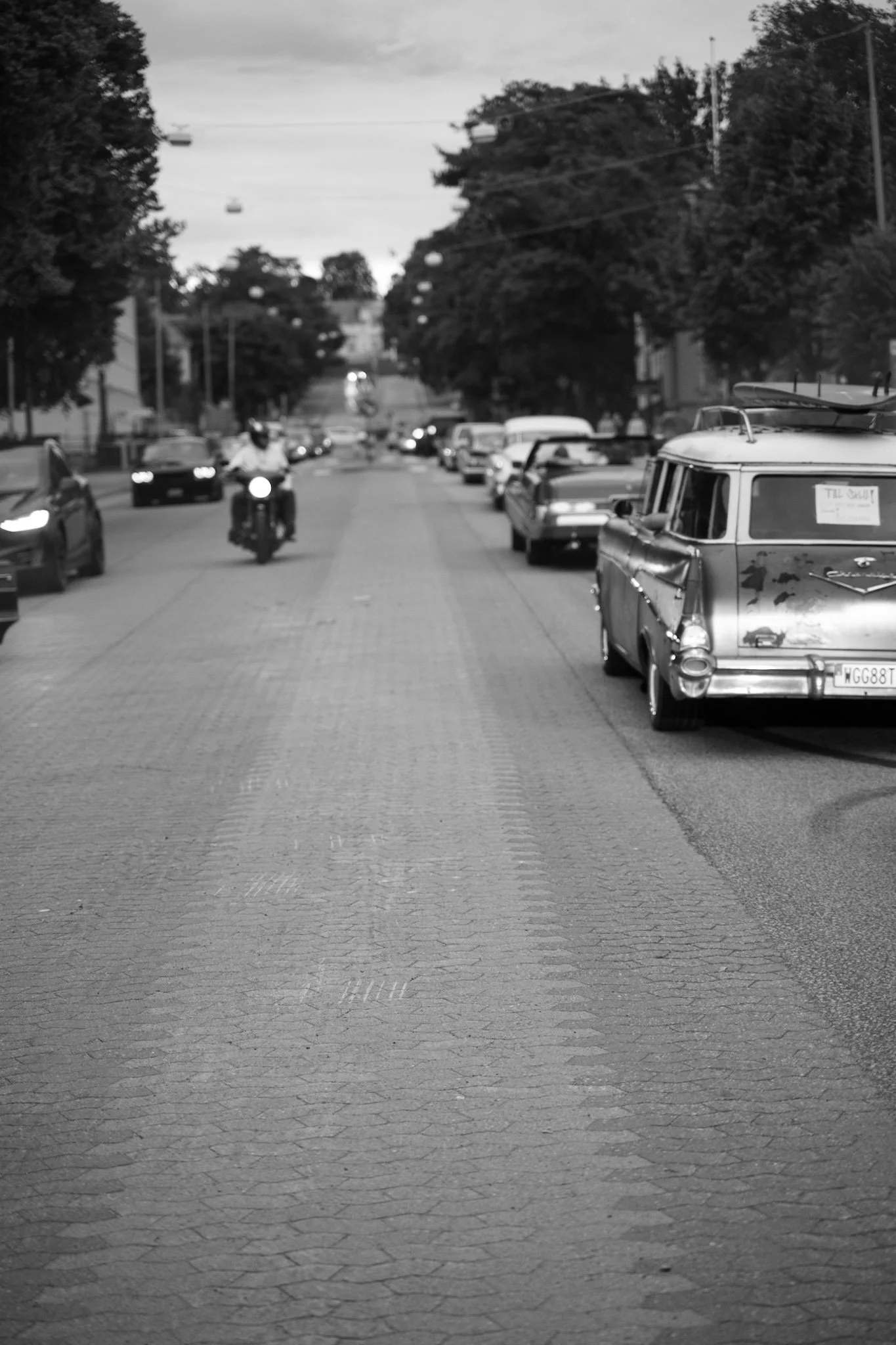 206-DSC_4503.jpg