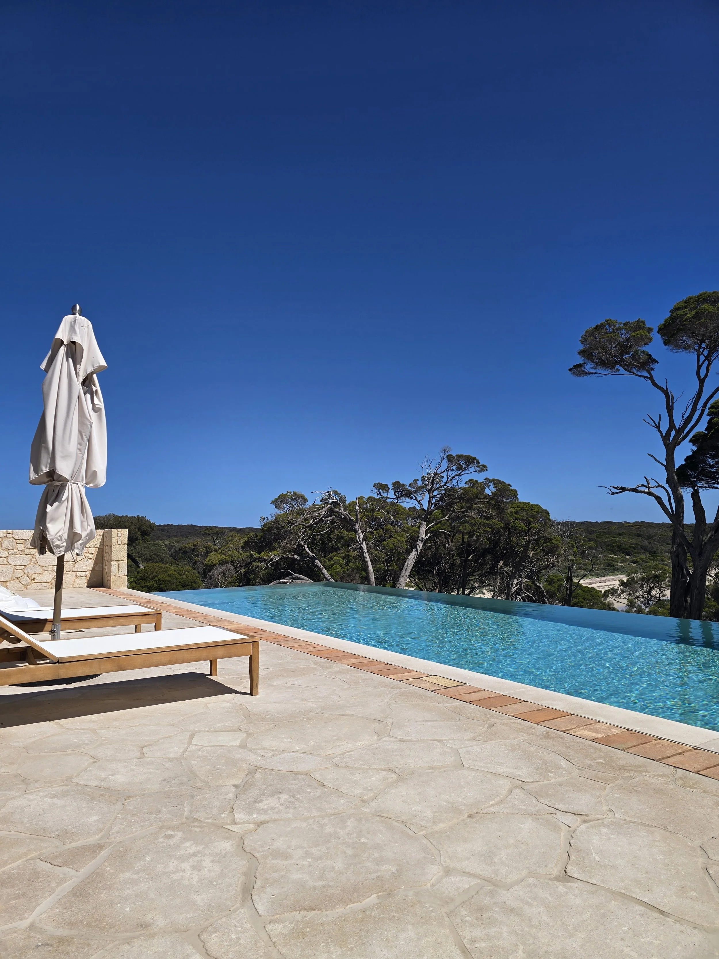 Outdoor infinity pool with lounge chairs and closed umbrella overlooking a wooded coastal landscape under a clear blue sky