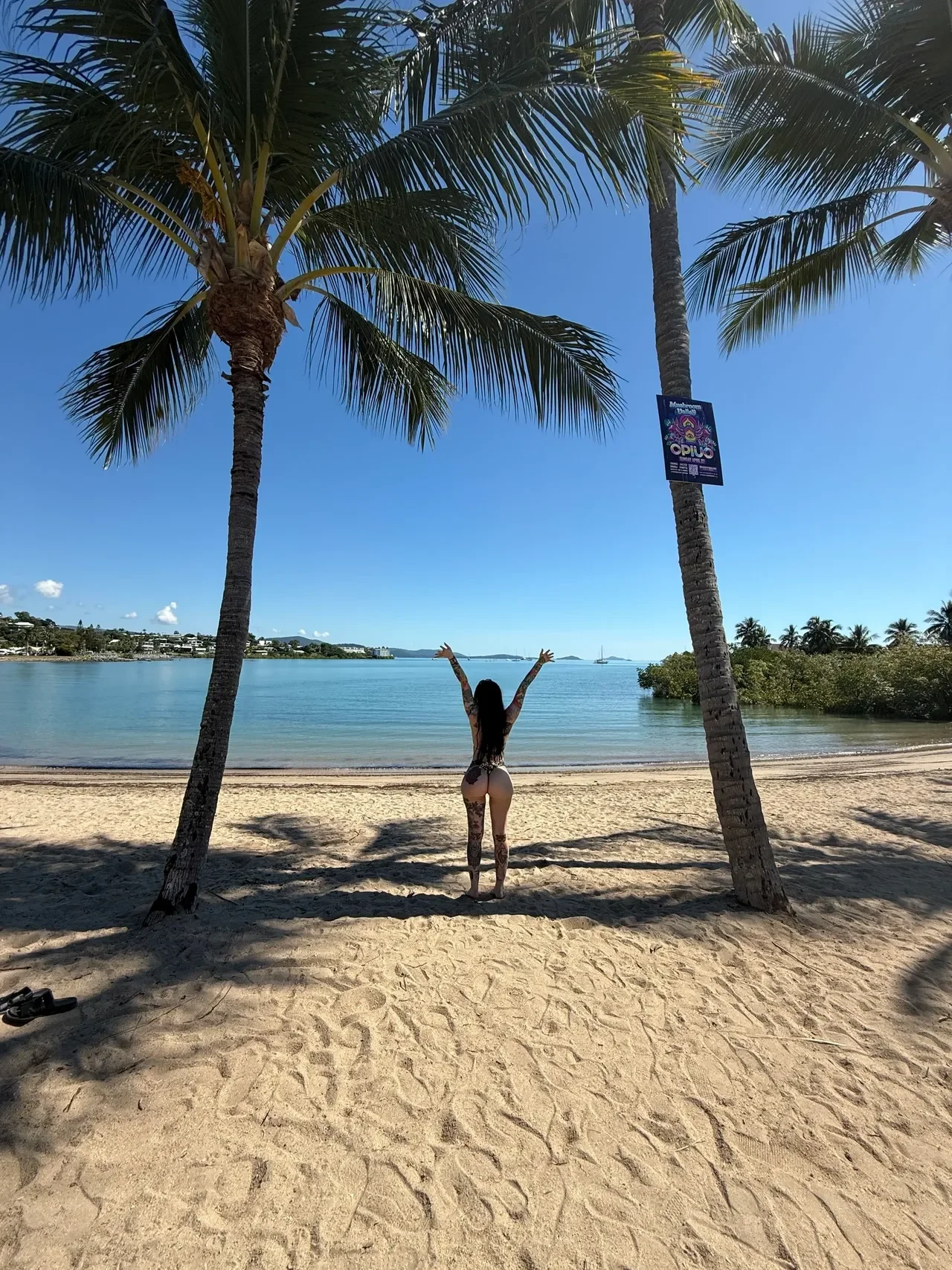 Gladstone to Cairns: A Road Trip to Remember
