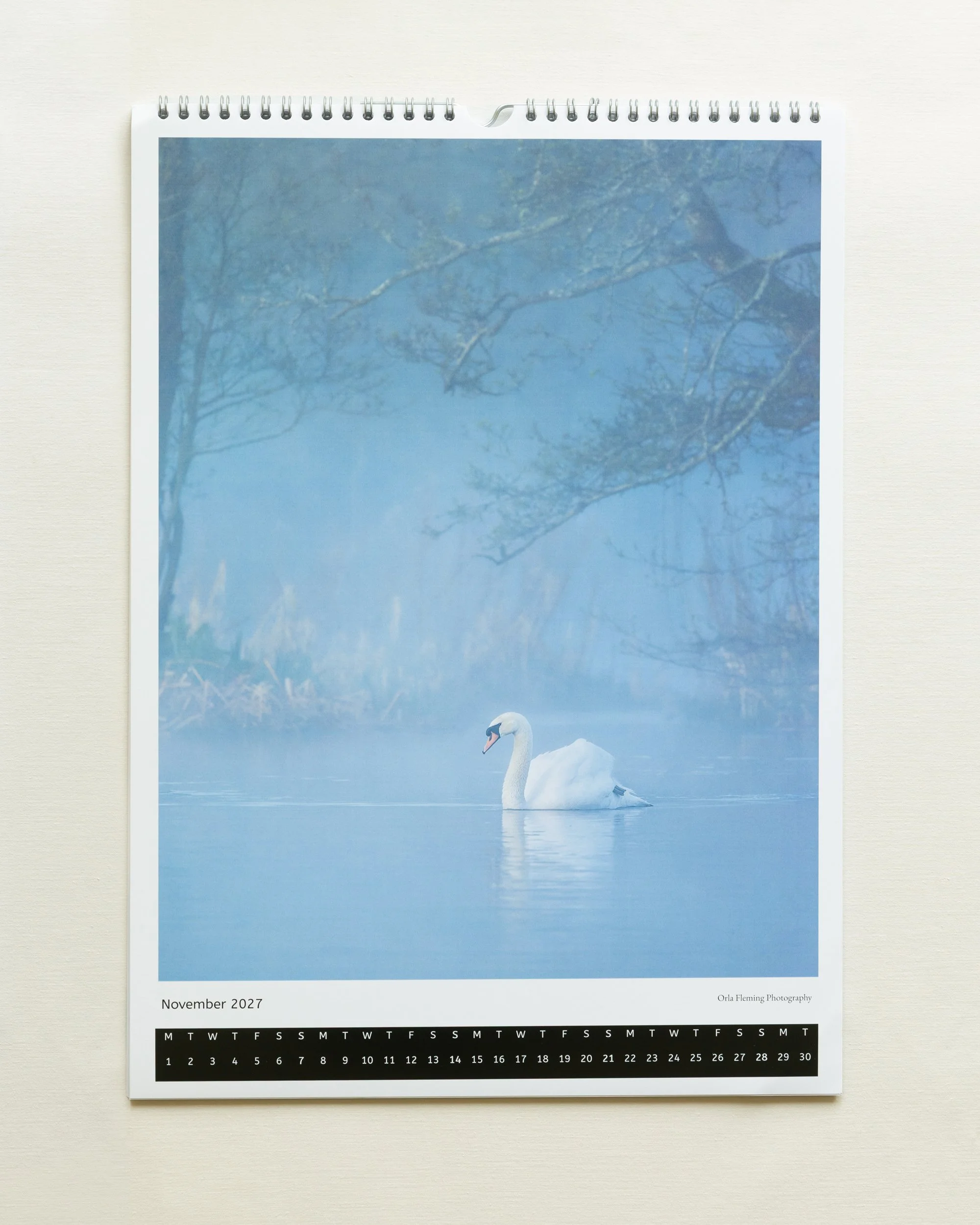Calander-swan-page.jpg
