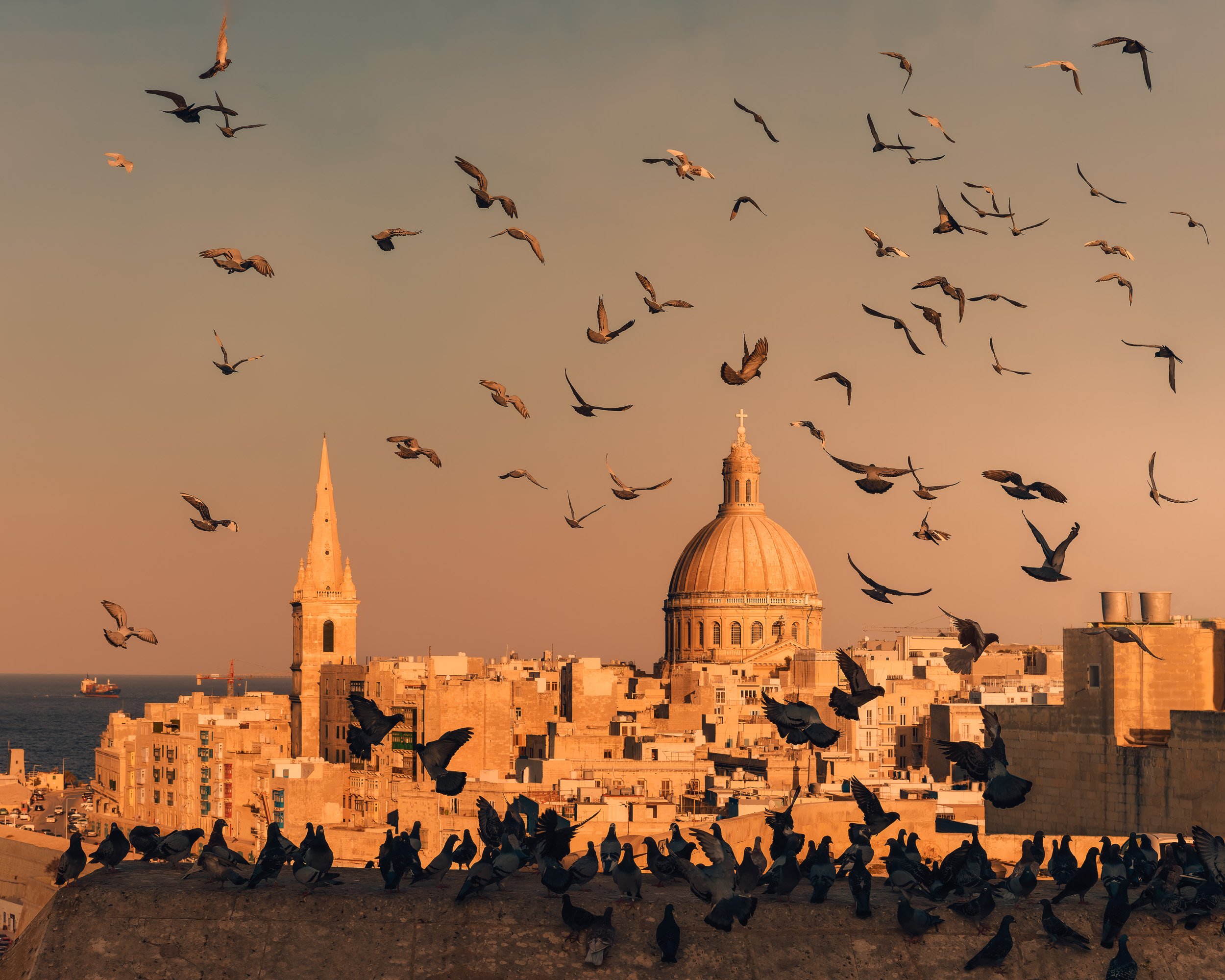 Birds big stack 2 flat.jpg