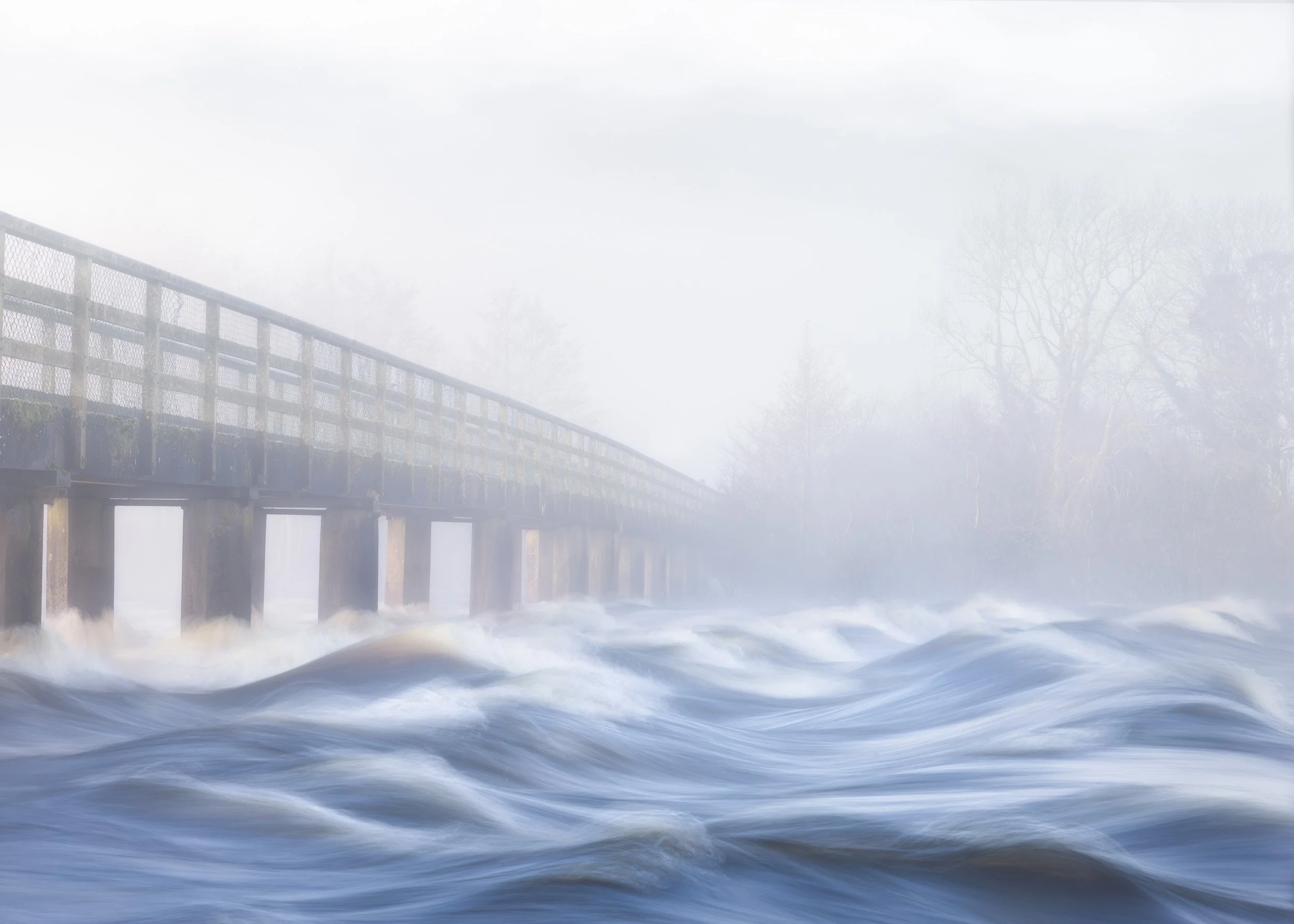 waves1.jpg