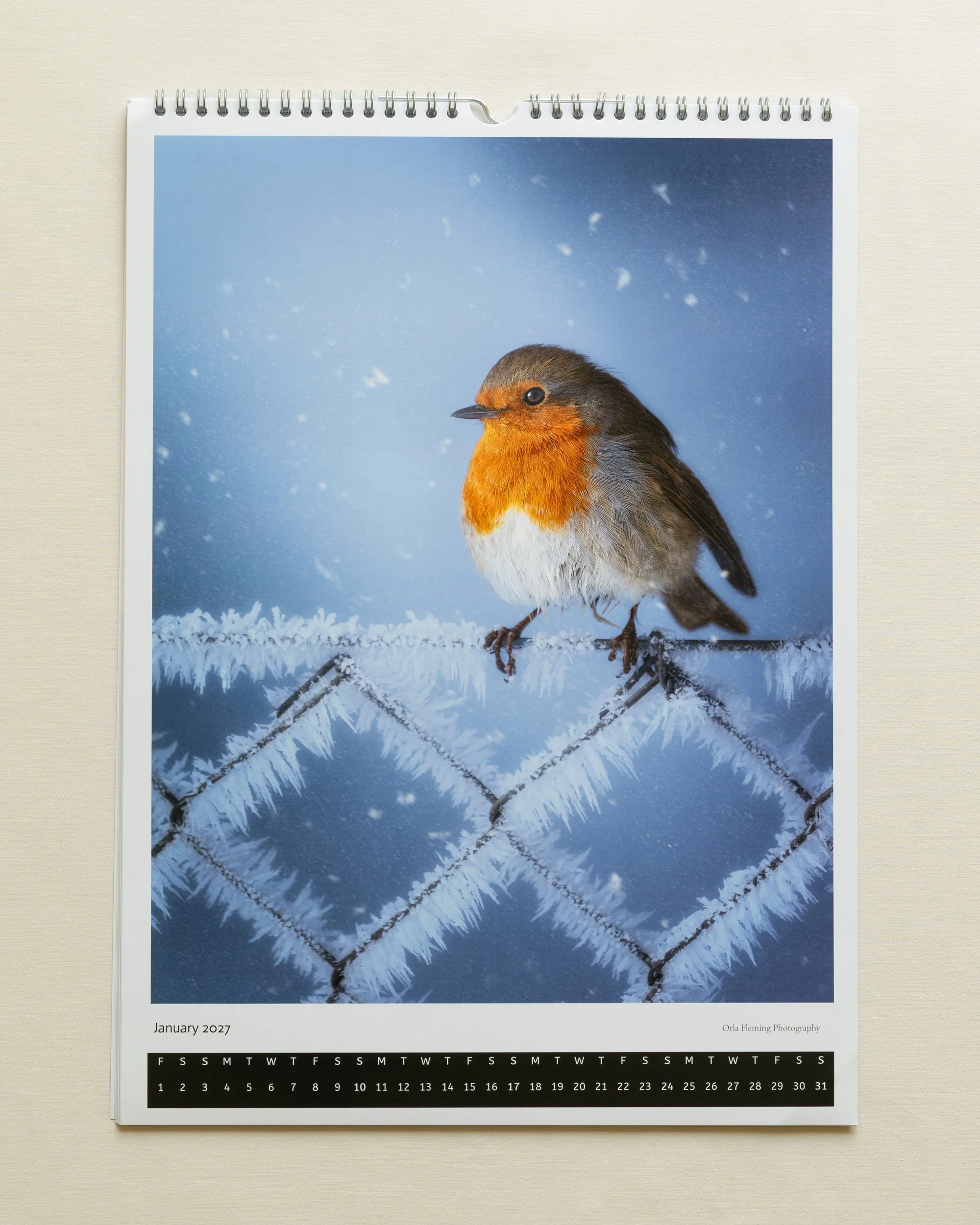 Calander-robin-page.jpg