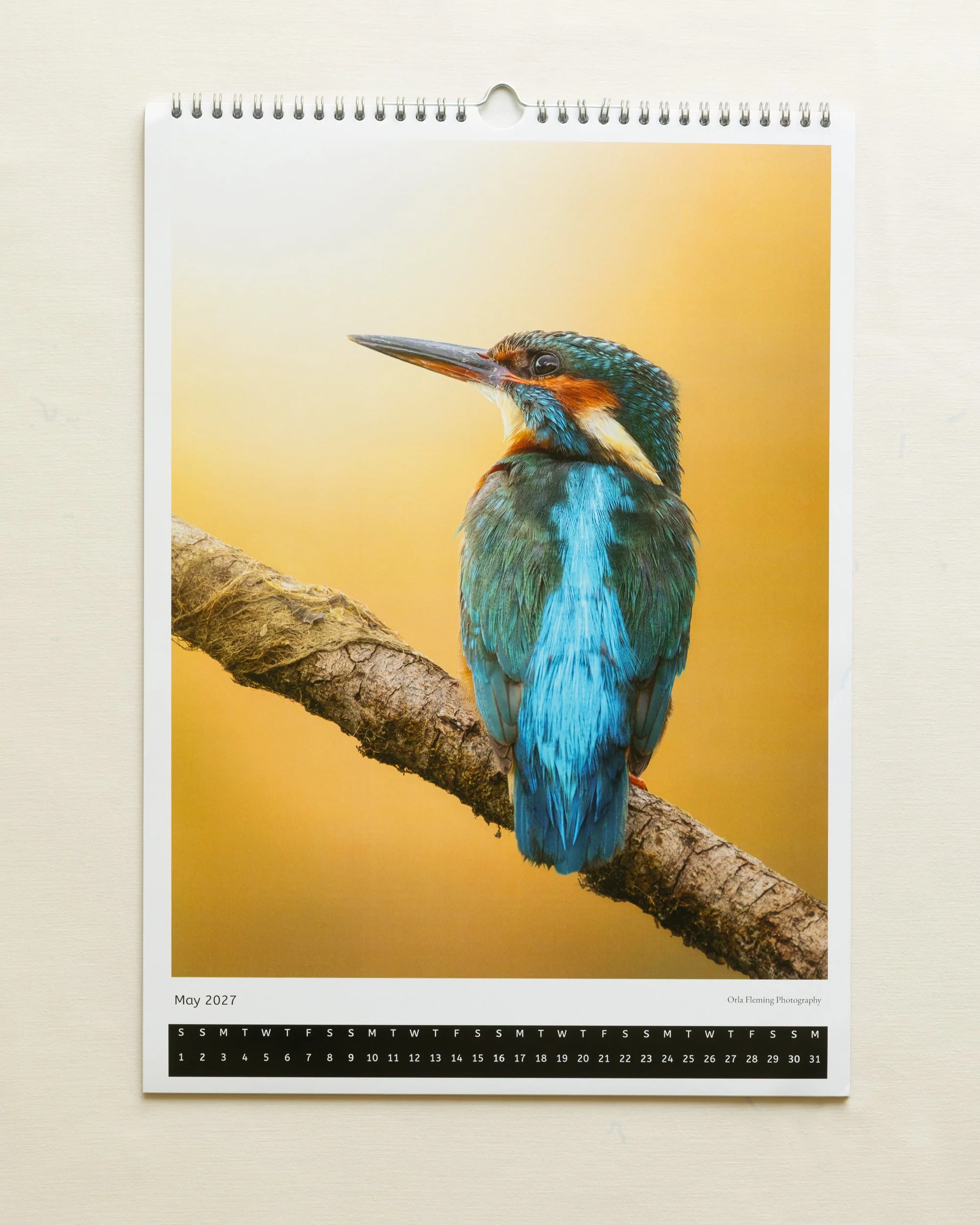 Calander-Kingfisher-pahe.jpg