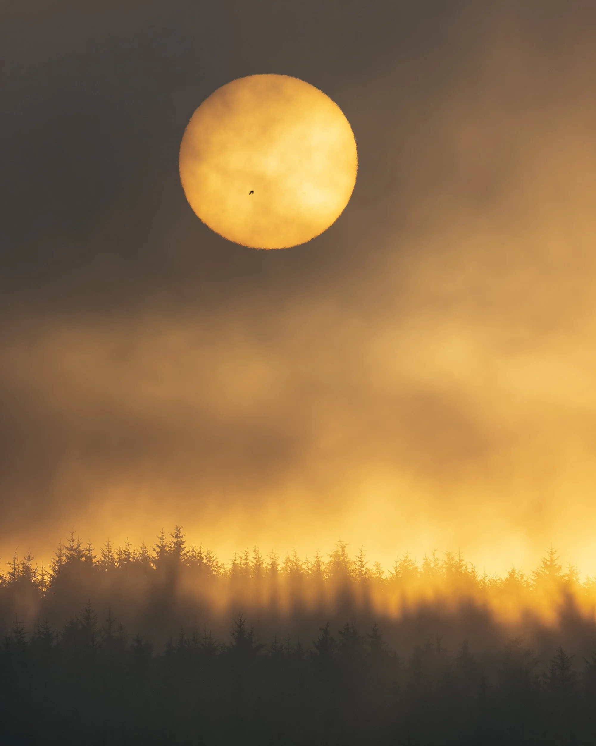 sunrise flat.jpg