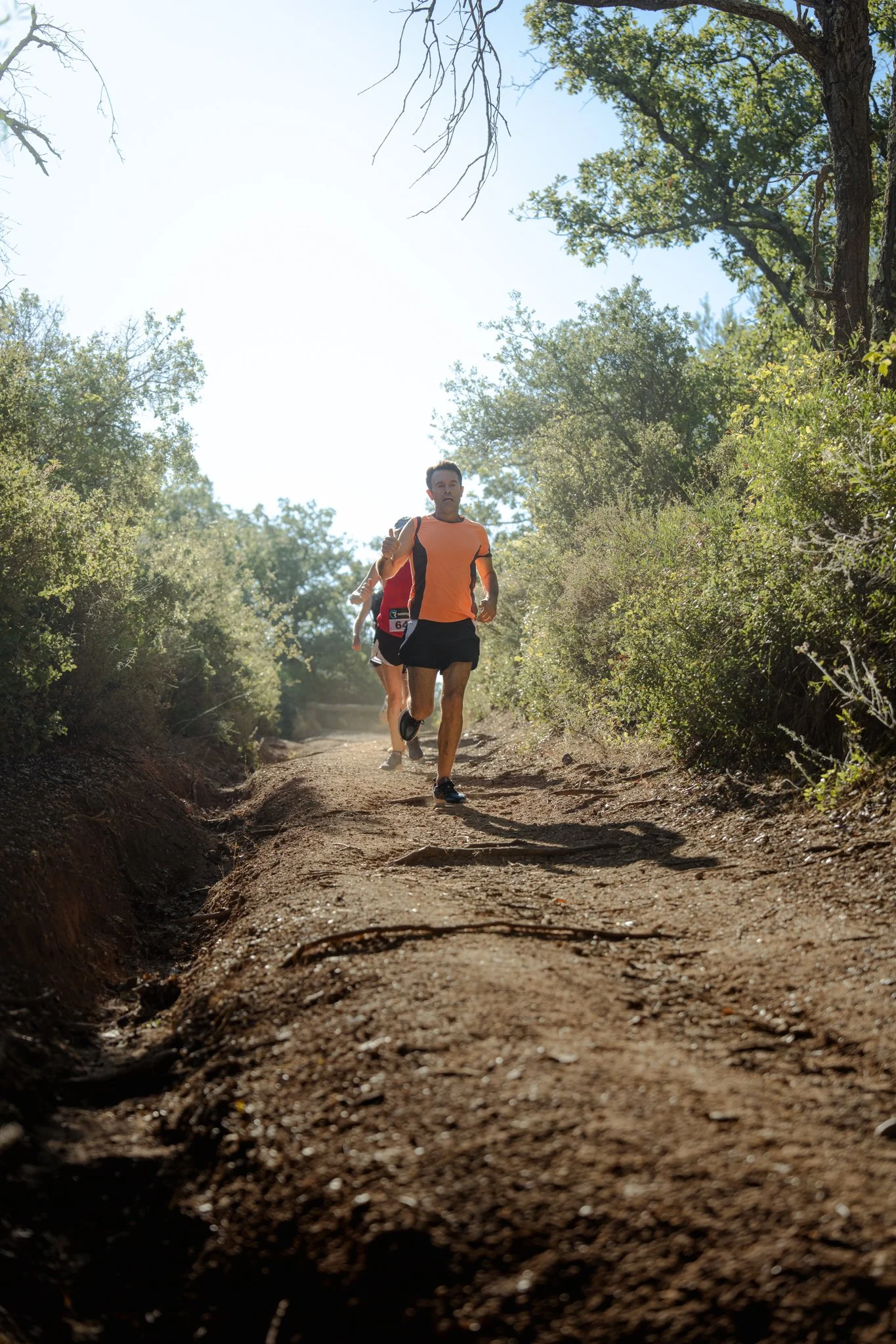 Deux coureurs pratiquant la course en trail dans une forêt ensoleillée.
