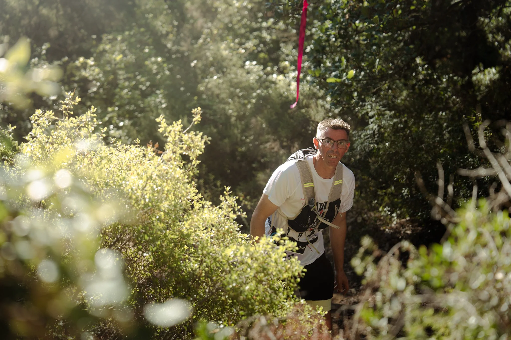 Un homme portant des lunettes, un t-shirt blanc et un sac à dos, marche dans la forêt en été, avec des buissons verts et des arbres, sous la lumière du soleil.