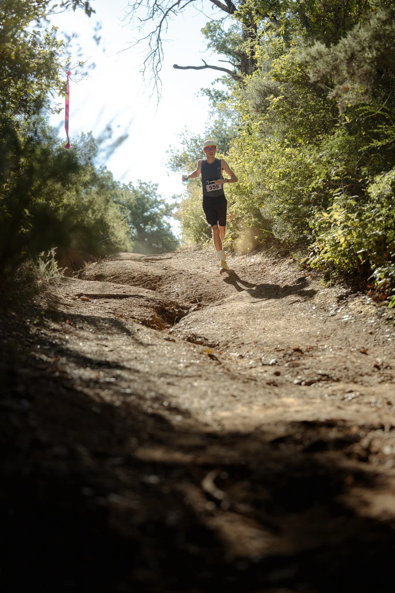 Un coureur portant une numéro 559 court sur un sentier en forêt, entouré de végétation verte sous un ciel ensoleillé.