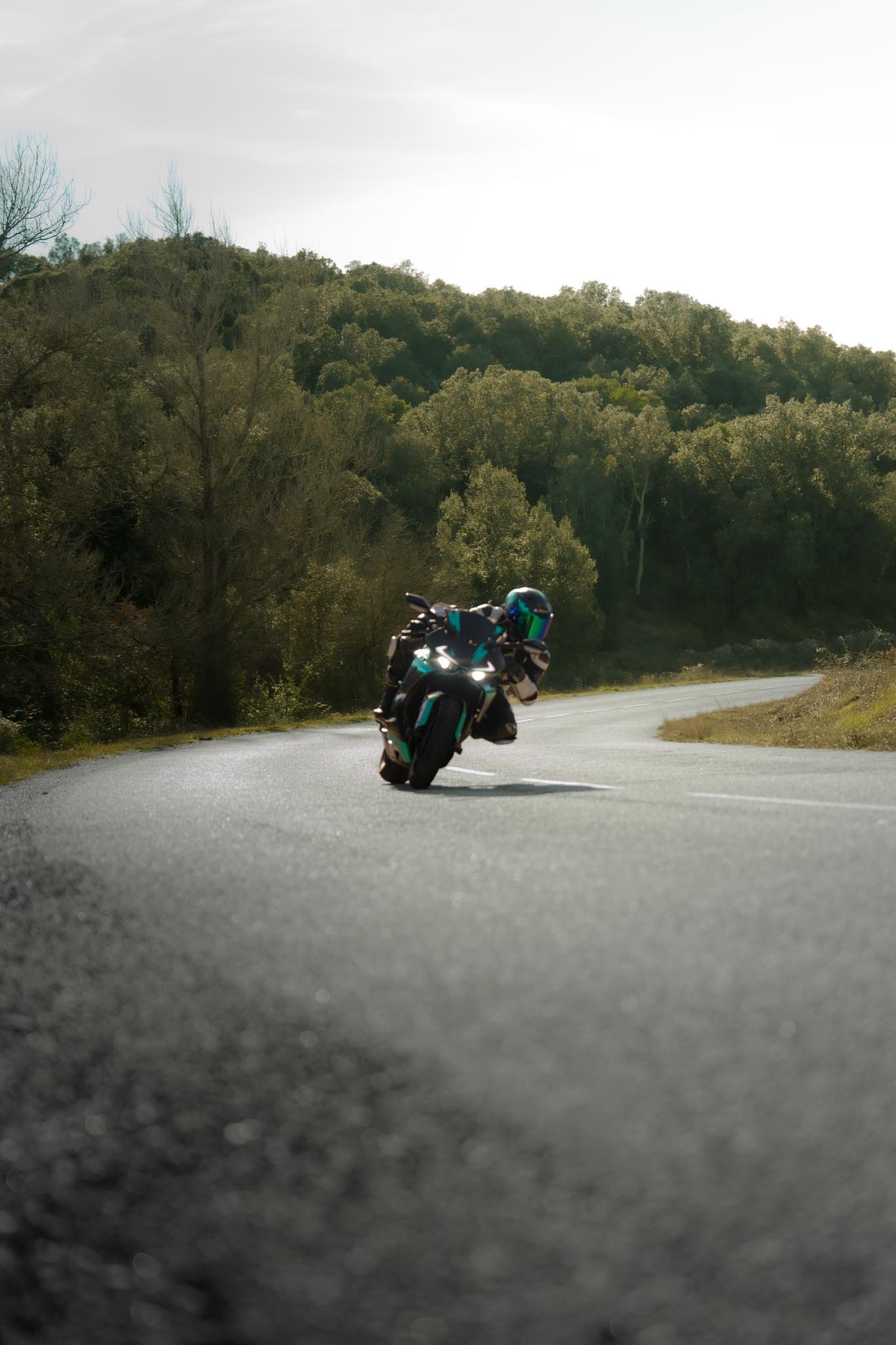 Motorcycle riding on a winding road surrounded by trees and hills under a clear sky.