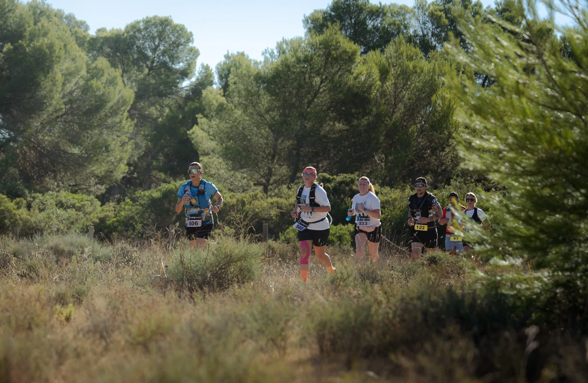 Groupe de coureurs participant à une course en plein air dans une zone boisée, portant des numéros de dossard et des vêtements de sport.