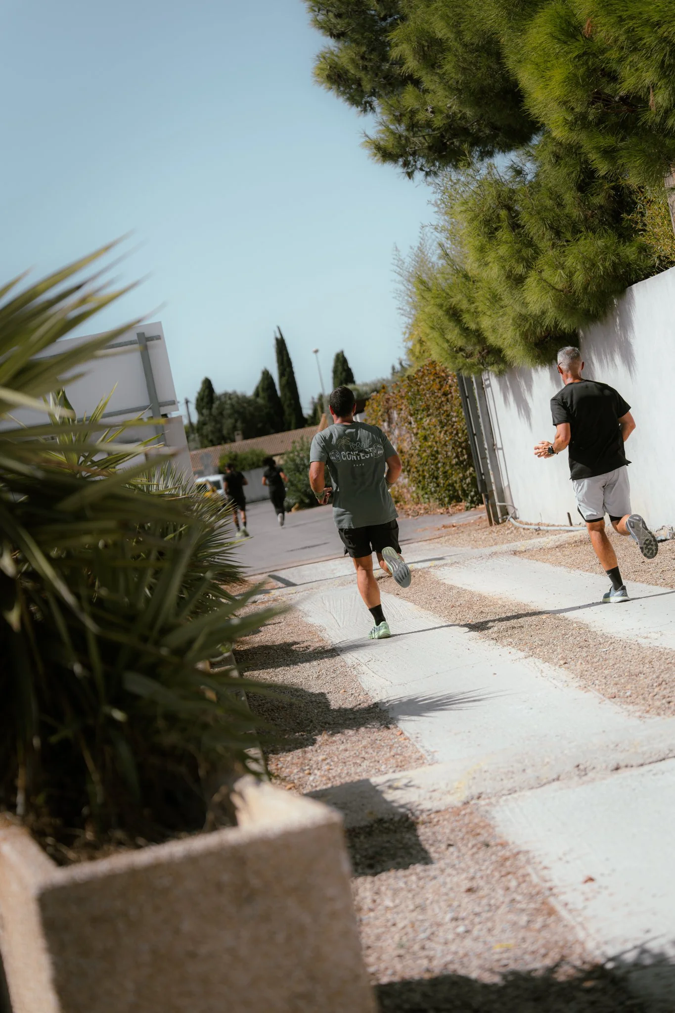 Deux hommes courent sur un trottoir ensoleillé, entouré d'arbustes et d'arbres verts, avec un ciel bleu clair en arrière-plan.