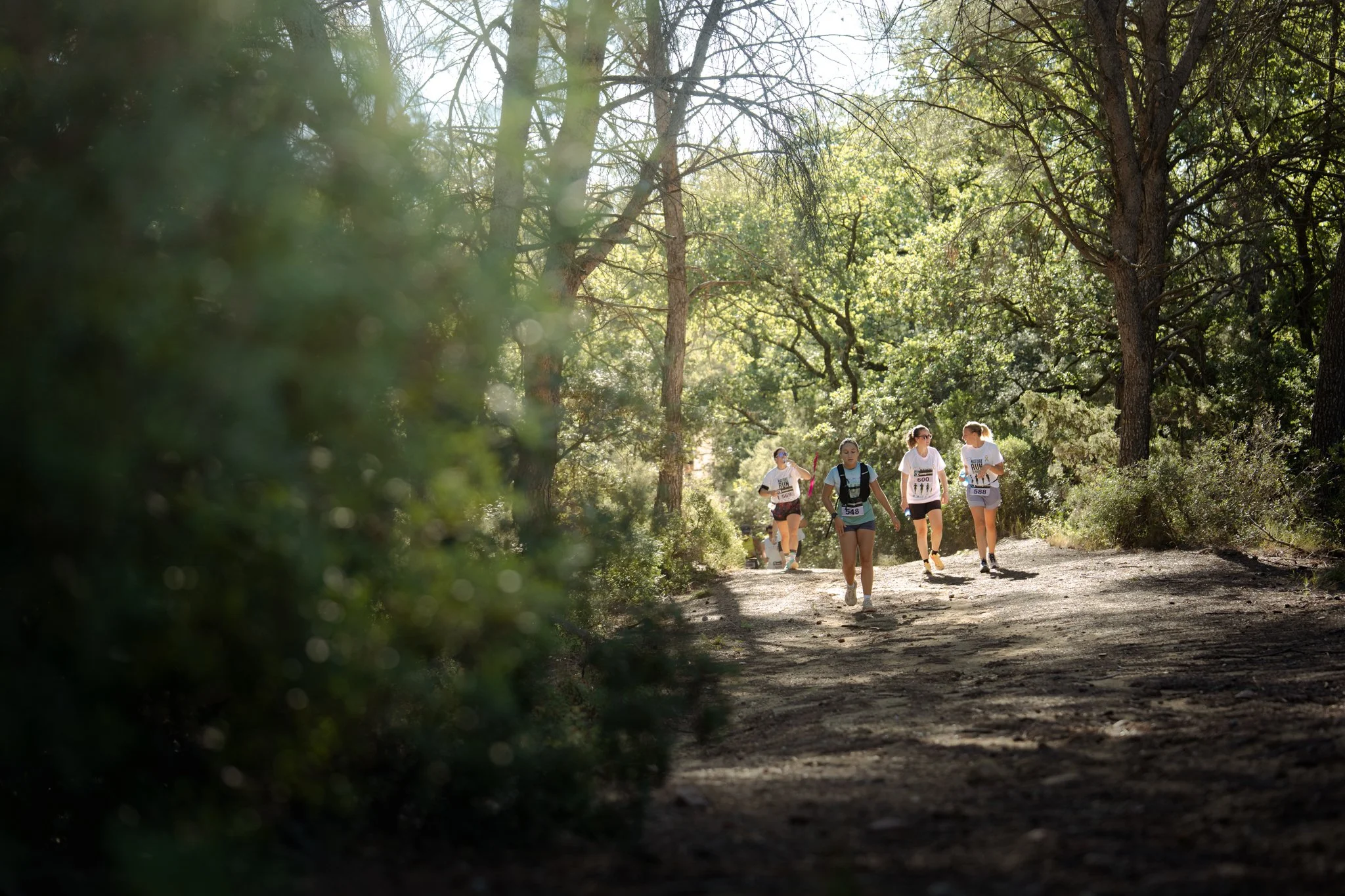 Groupe de coureurs participant à une course dans une forêt ensoleillée.