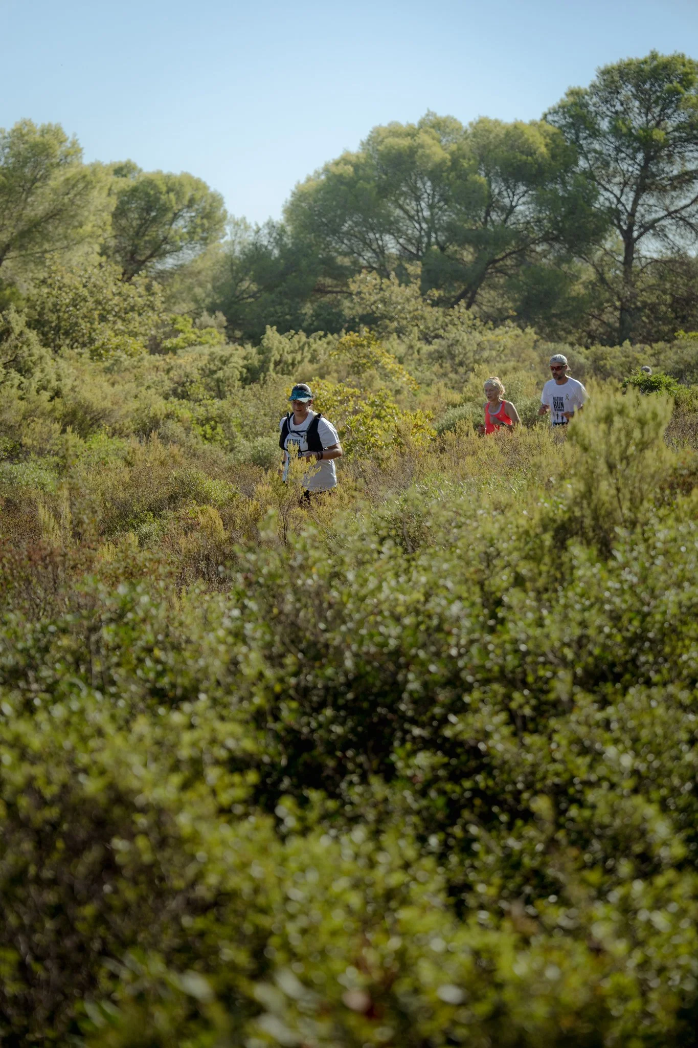 Trois personnes font une course à pied dans une zone naturelle verdoyante avec des arbres et des buissons, par temps ensoleillé.